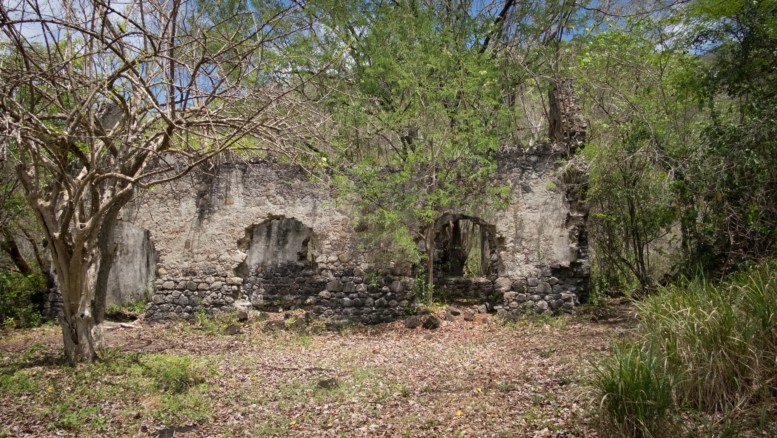 The climb up those ropes leads you to the old church and cemetery located above the plantation house.