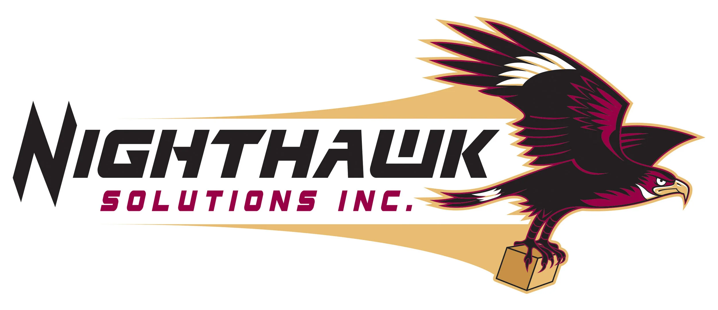 Nighthawk.Solutions.Inc._Logo.Horizontal.jpg