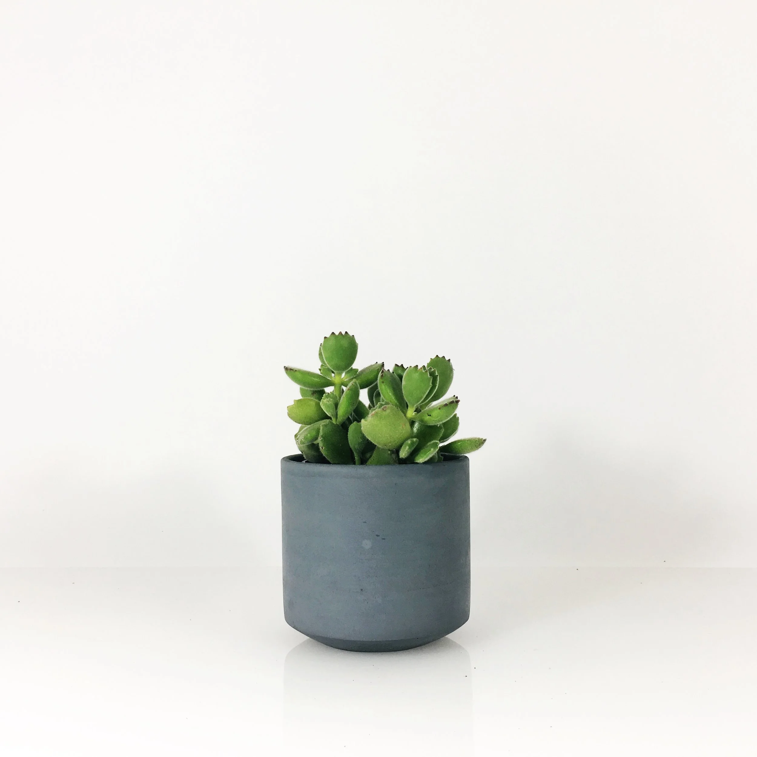 SETTLEWELL 4" Straight Sided Concrete Pot / Dark Gray