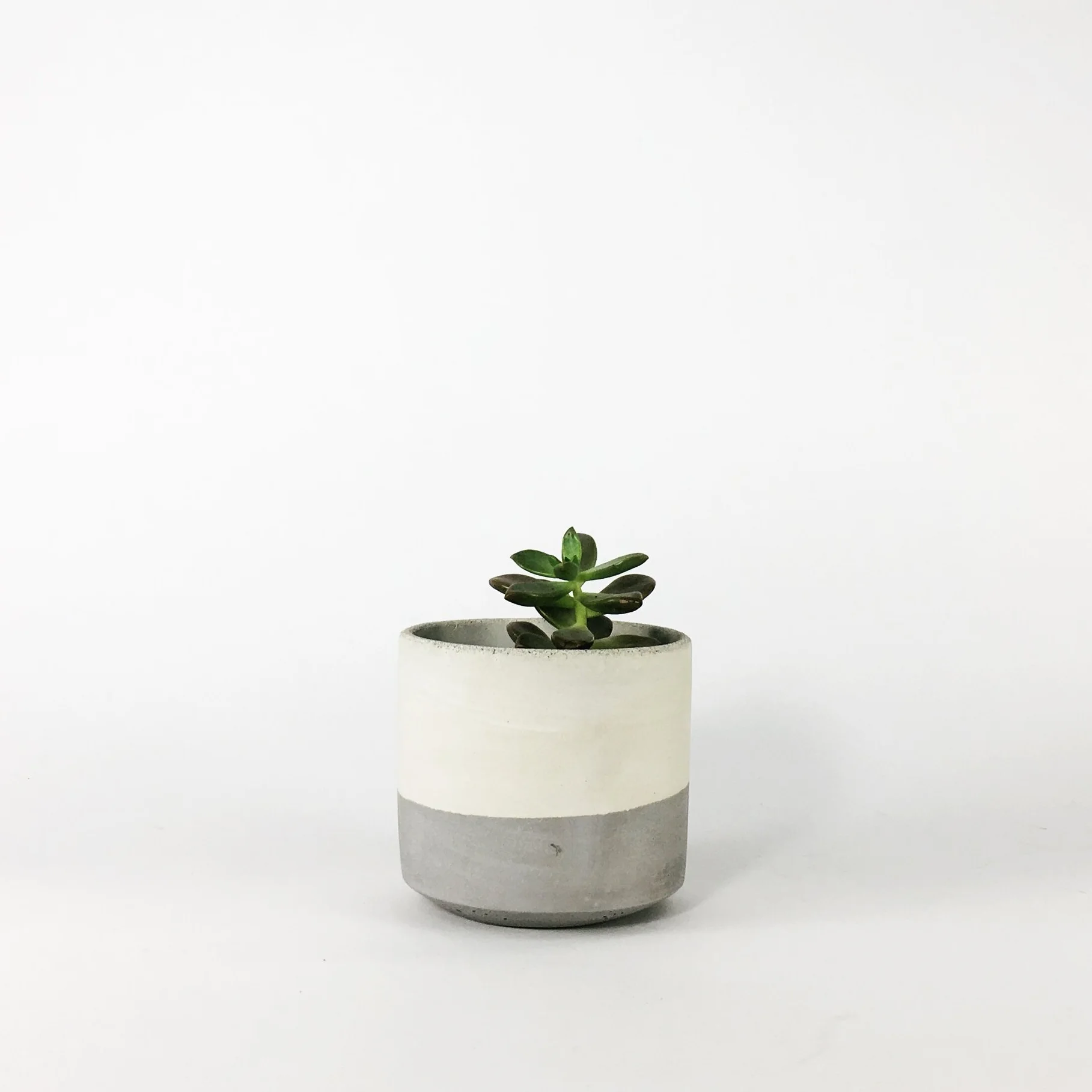 SETTLEWELL 4" Straight Sided Concrete Pot / Light Gray Flip