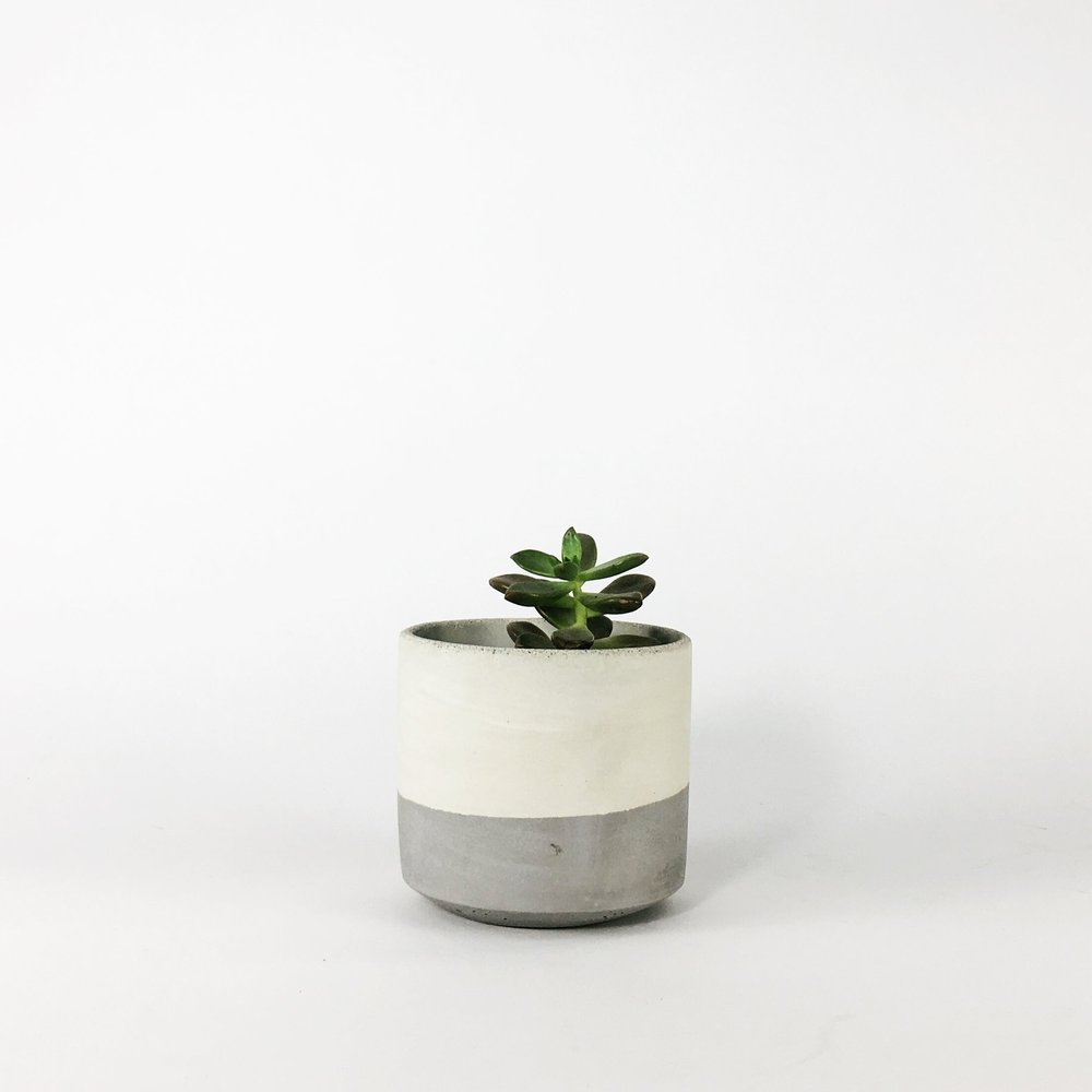 4 Straight Sided Concrete Pot / Light Gray Two Tone — SETTLEWELL