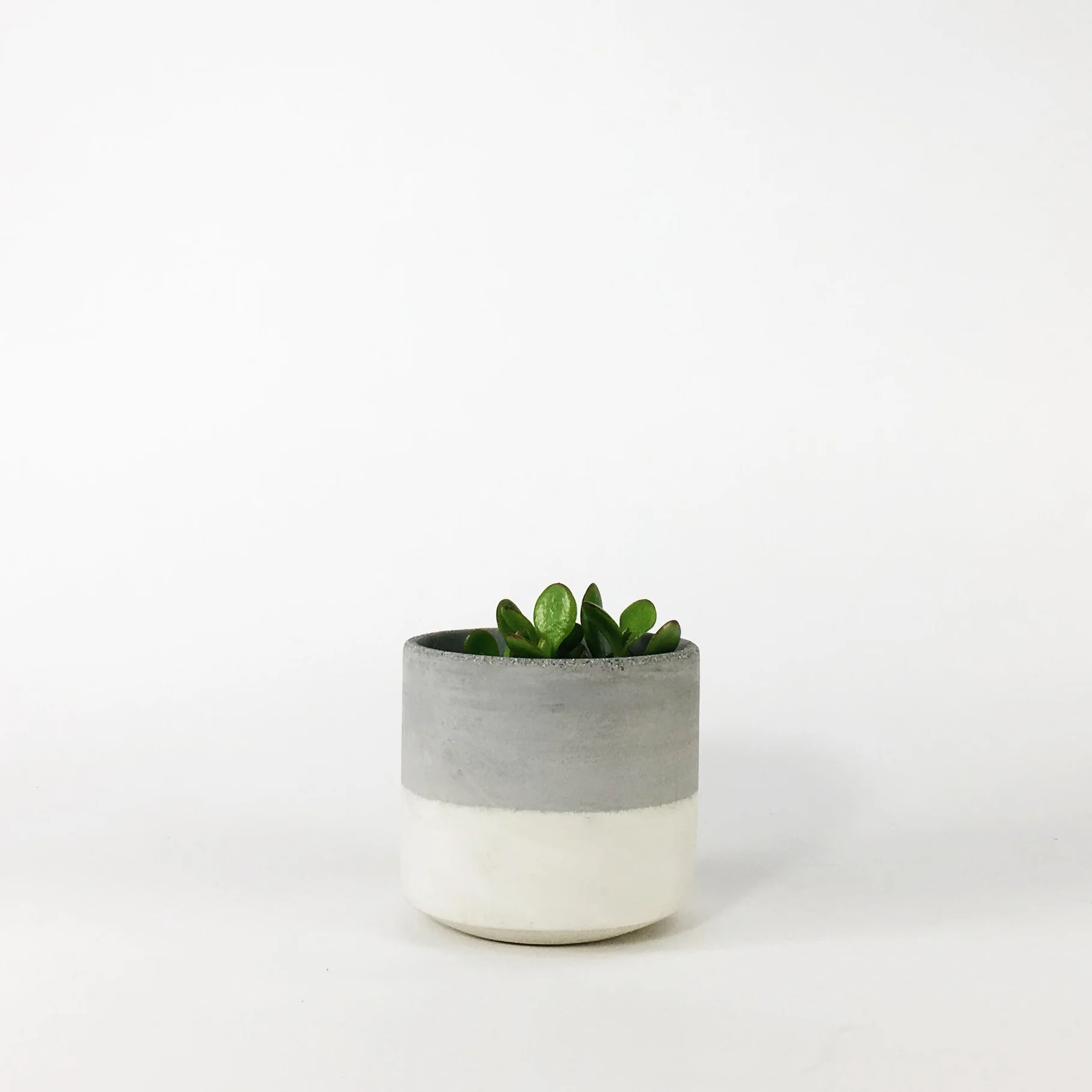 SETTLEWELL 4" Straight Sided Concrete Pot / Light Gray Two Tone