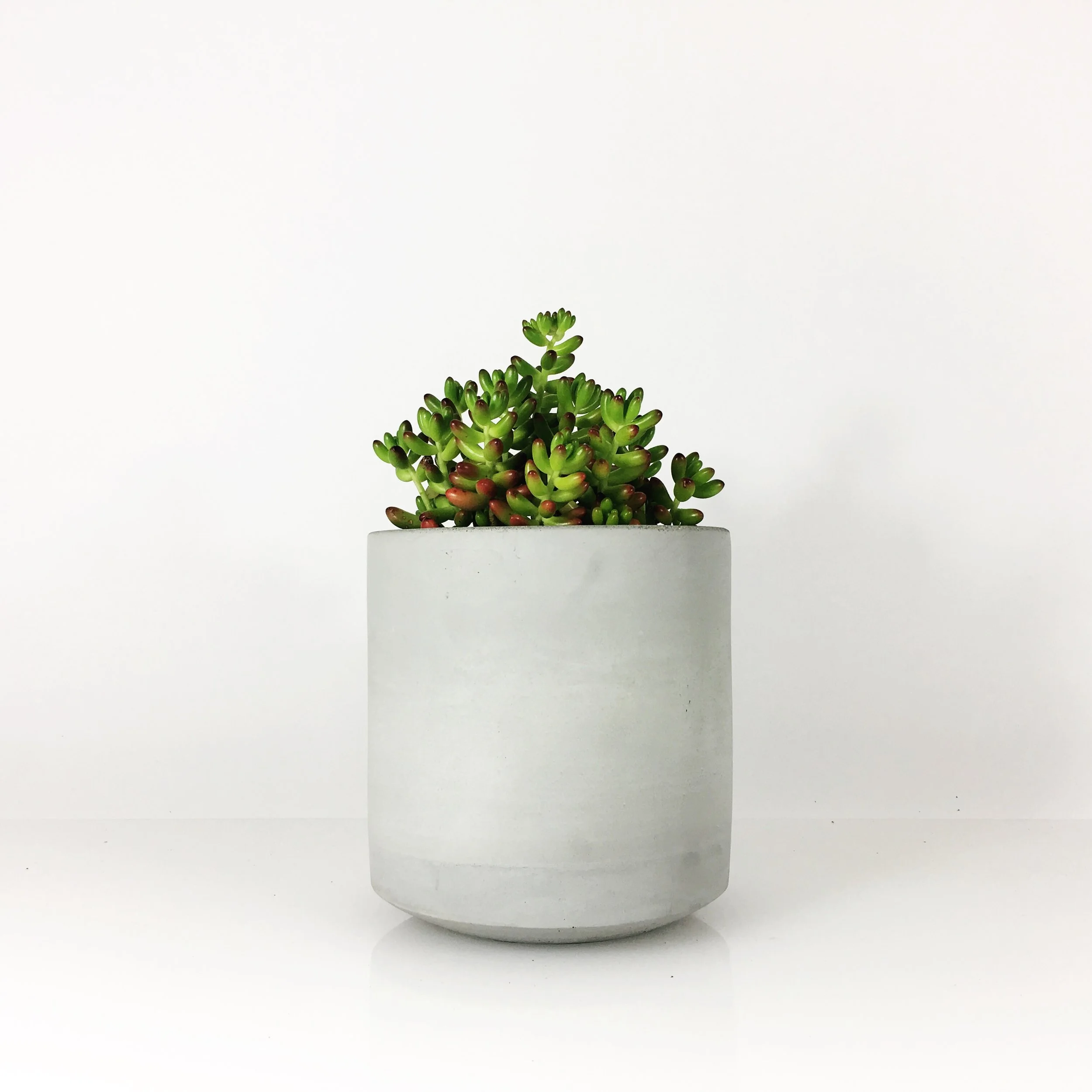 SETTLEWELL 6" Straight Sided Concrete Pot / Light Gray
