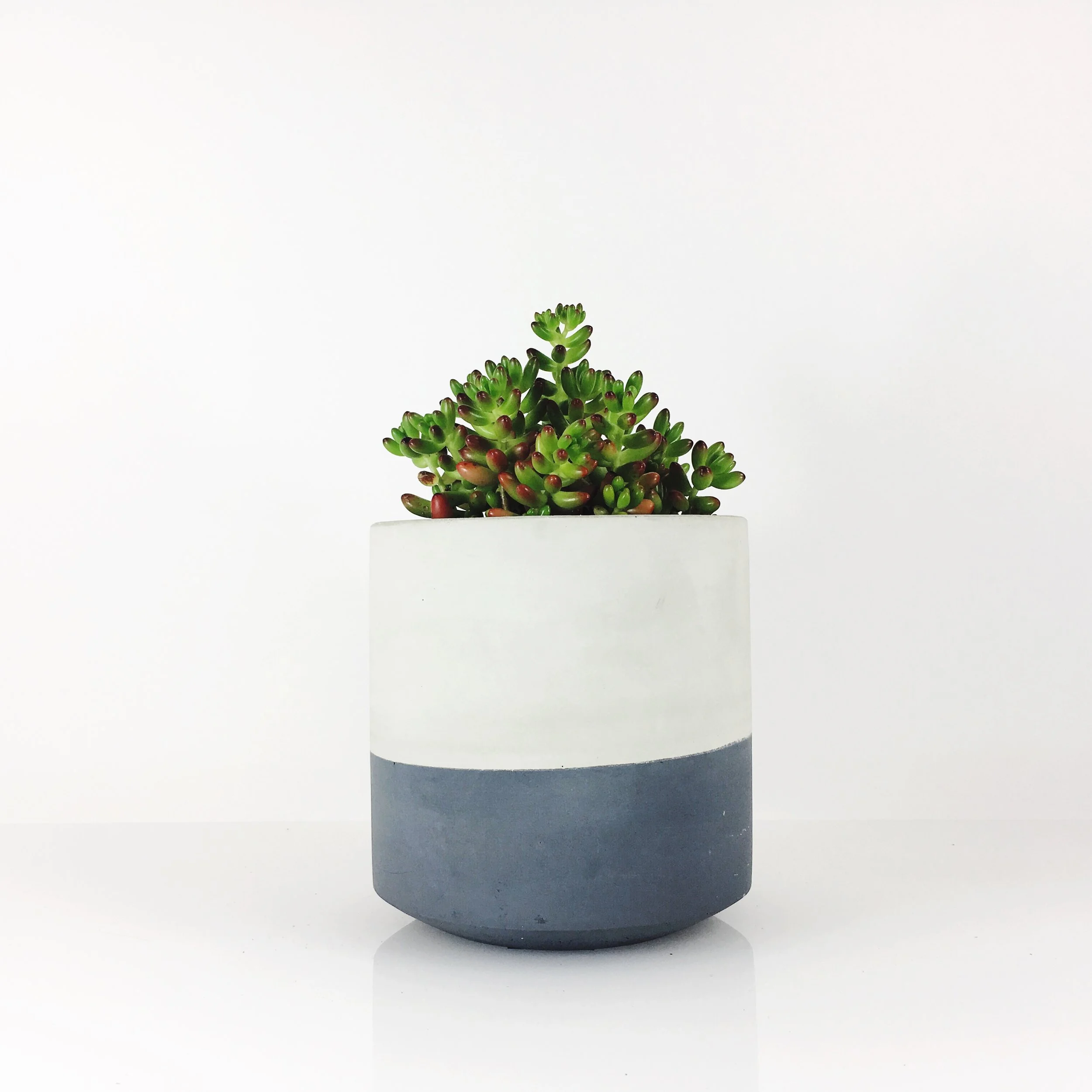 SETTLEWELL 6" Straight Sided Concrete Pot / Dark Gray Flip