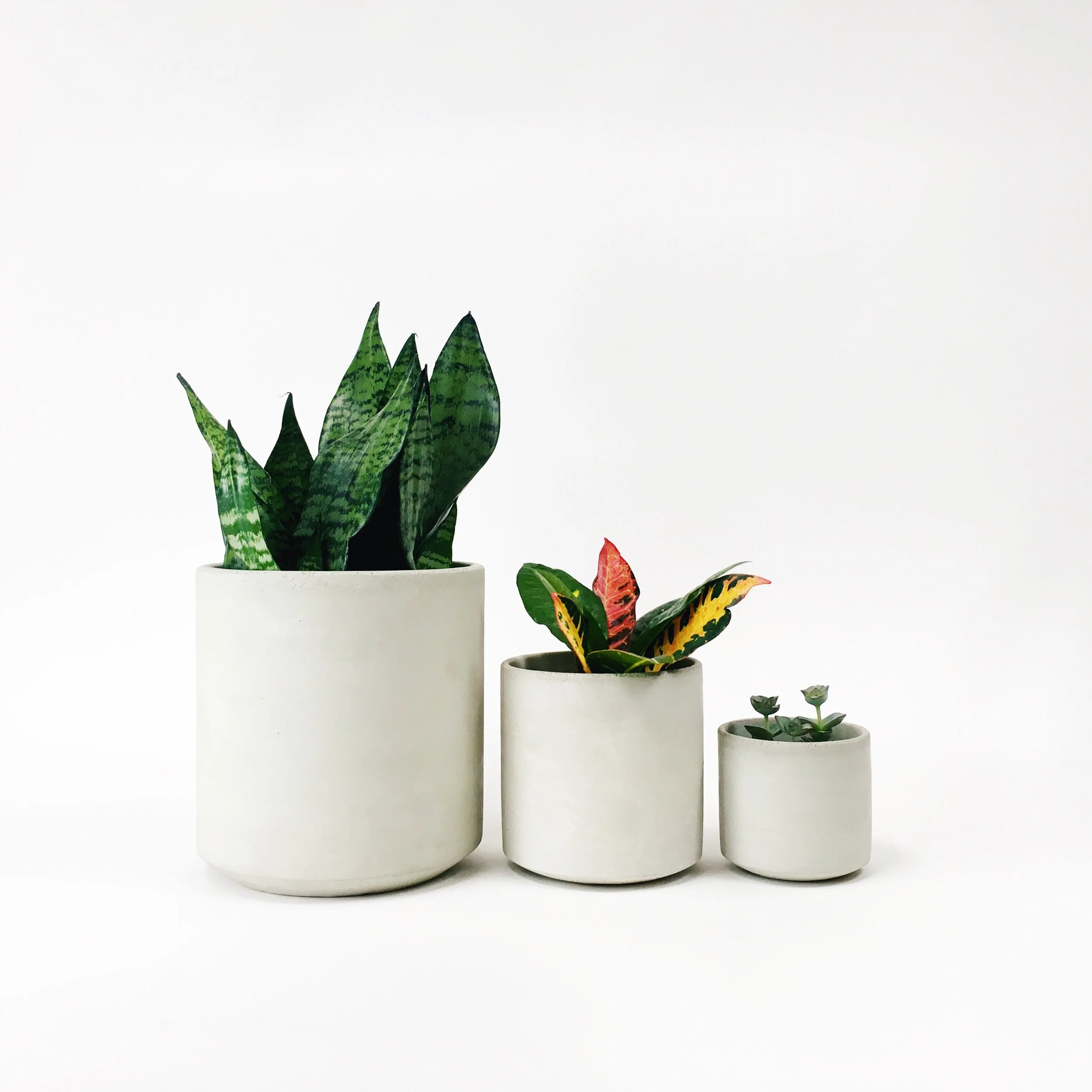 SETTLEWELL 9" Straight Sided Concrete Pot / White