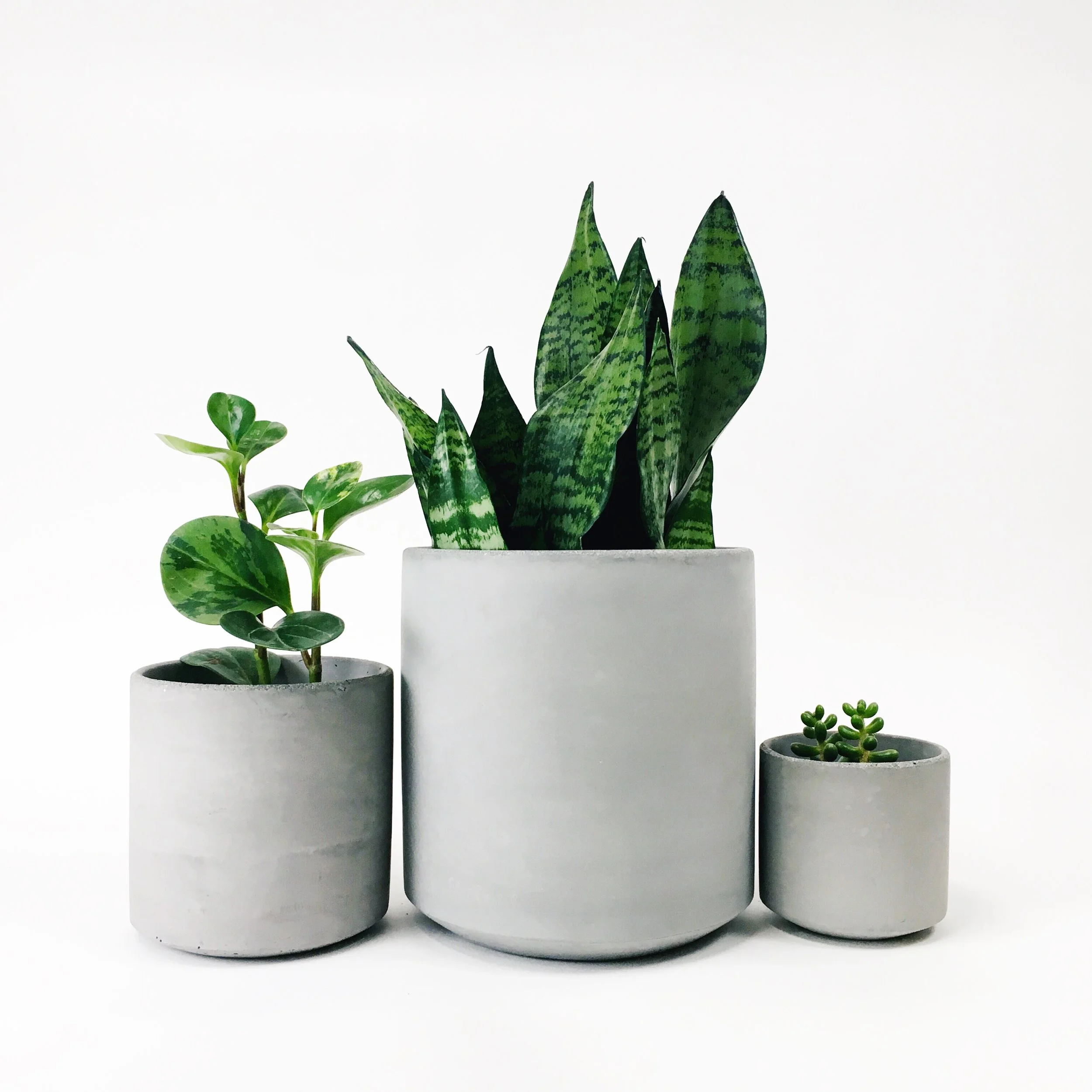 SETTLEWELL 9" Straight Sided Concrete Pot / Light Gray