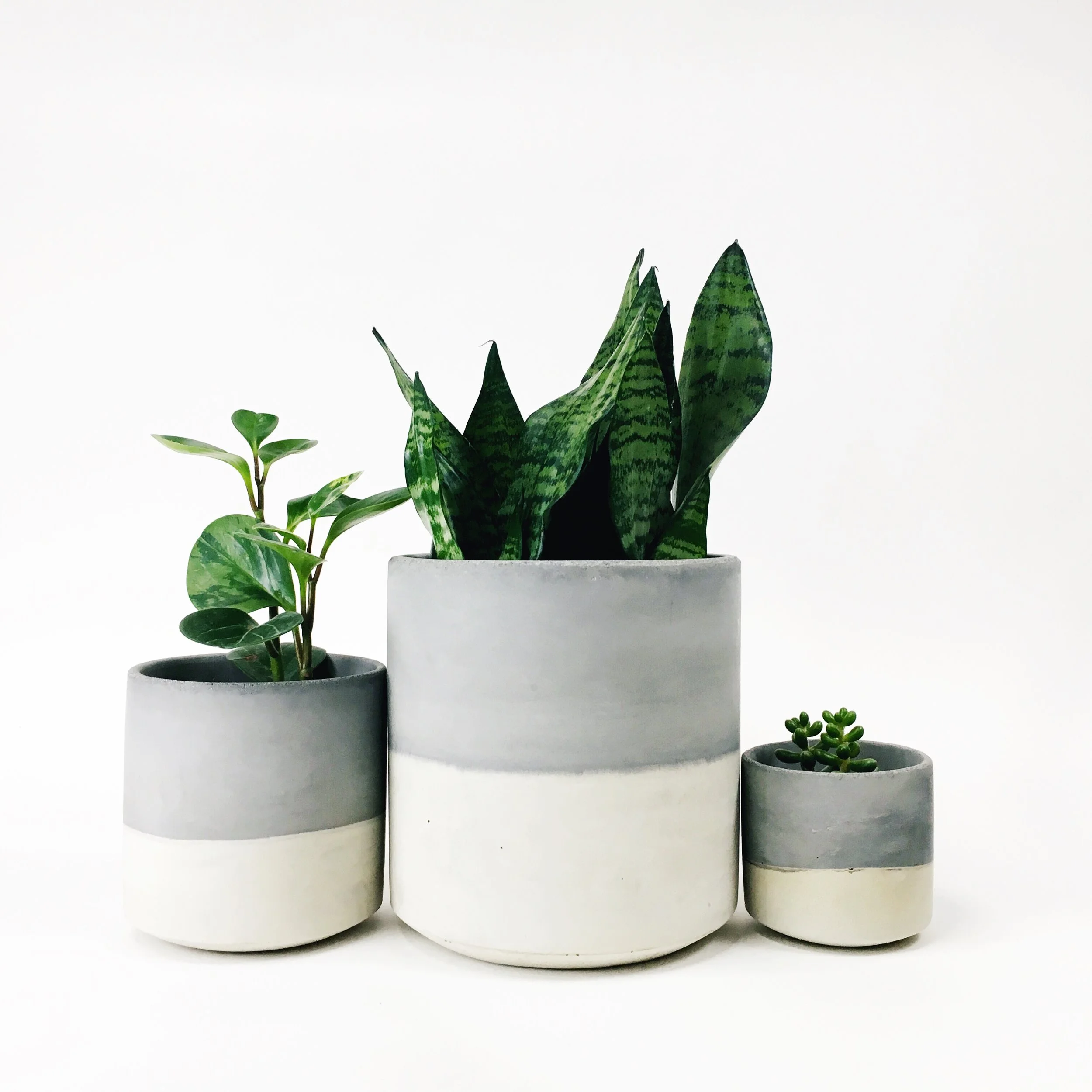 SETTLEWELL 9" Straight Sided Concrete Pot / Light Gray Two Tone