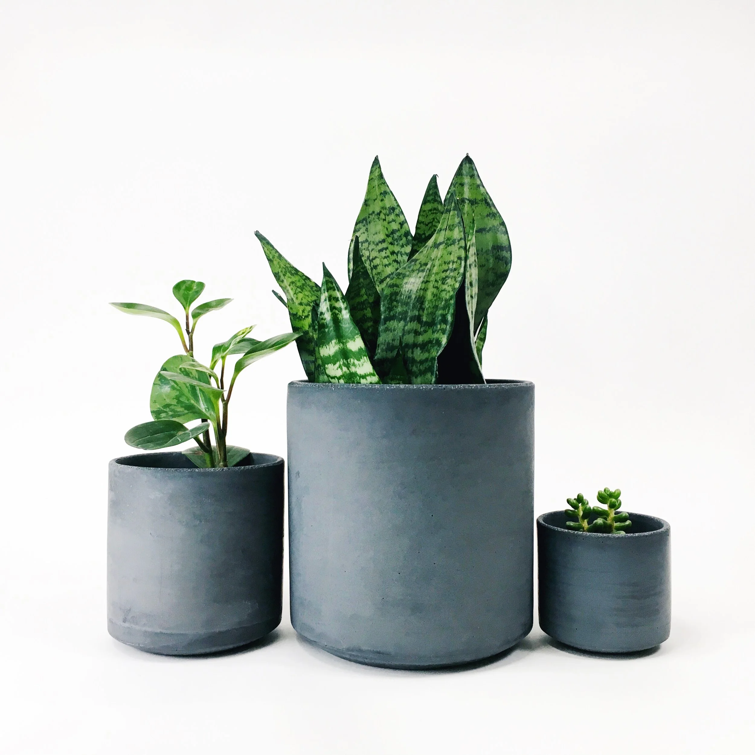 SETTLEWELL 9" Straight Sided Concrete Pot / Dark Gray