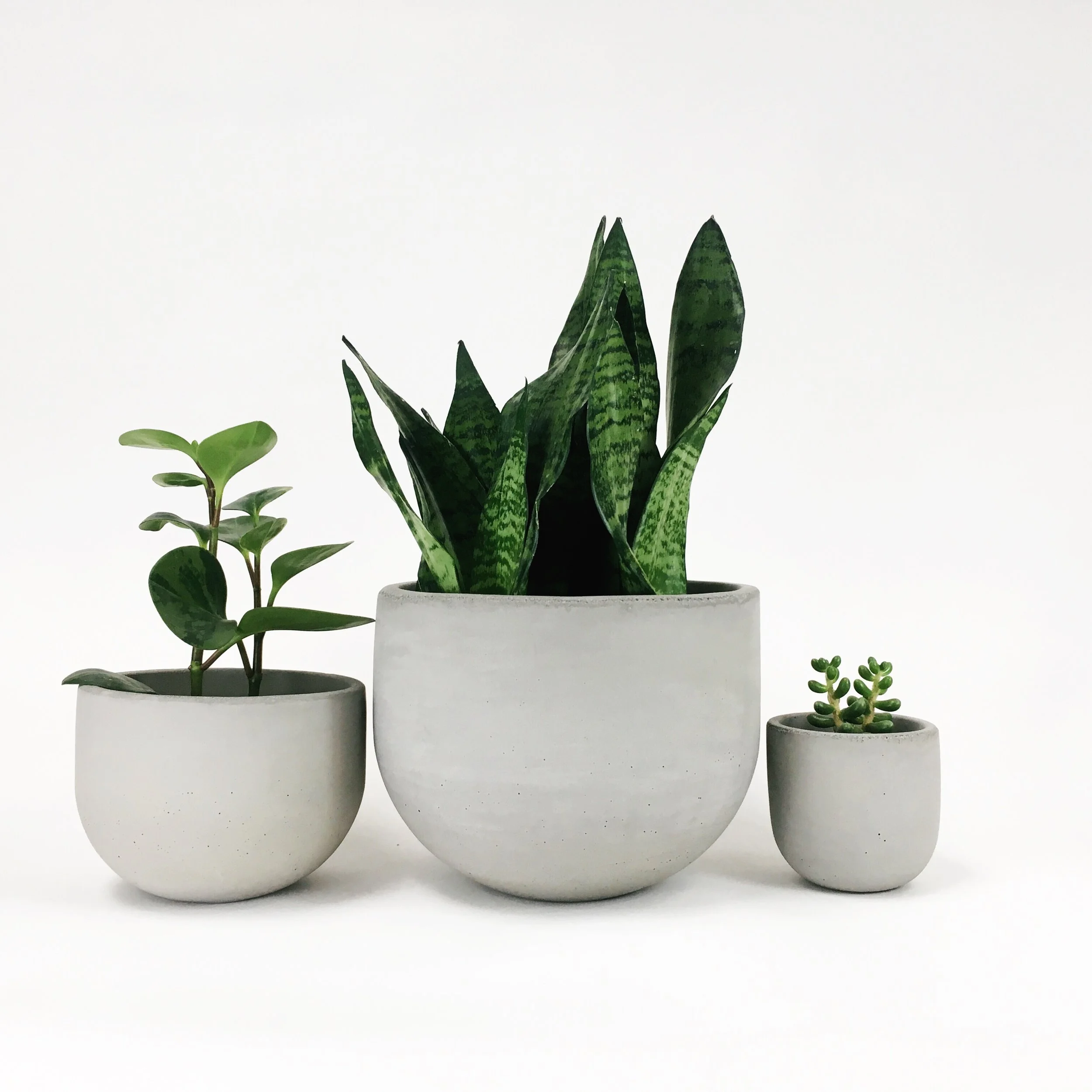 SETTLEWELL 9" Concrete Bowl Planter / Light Gray