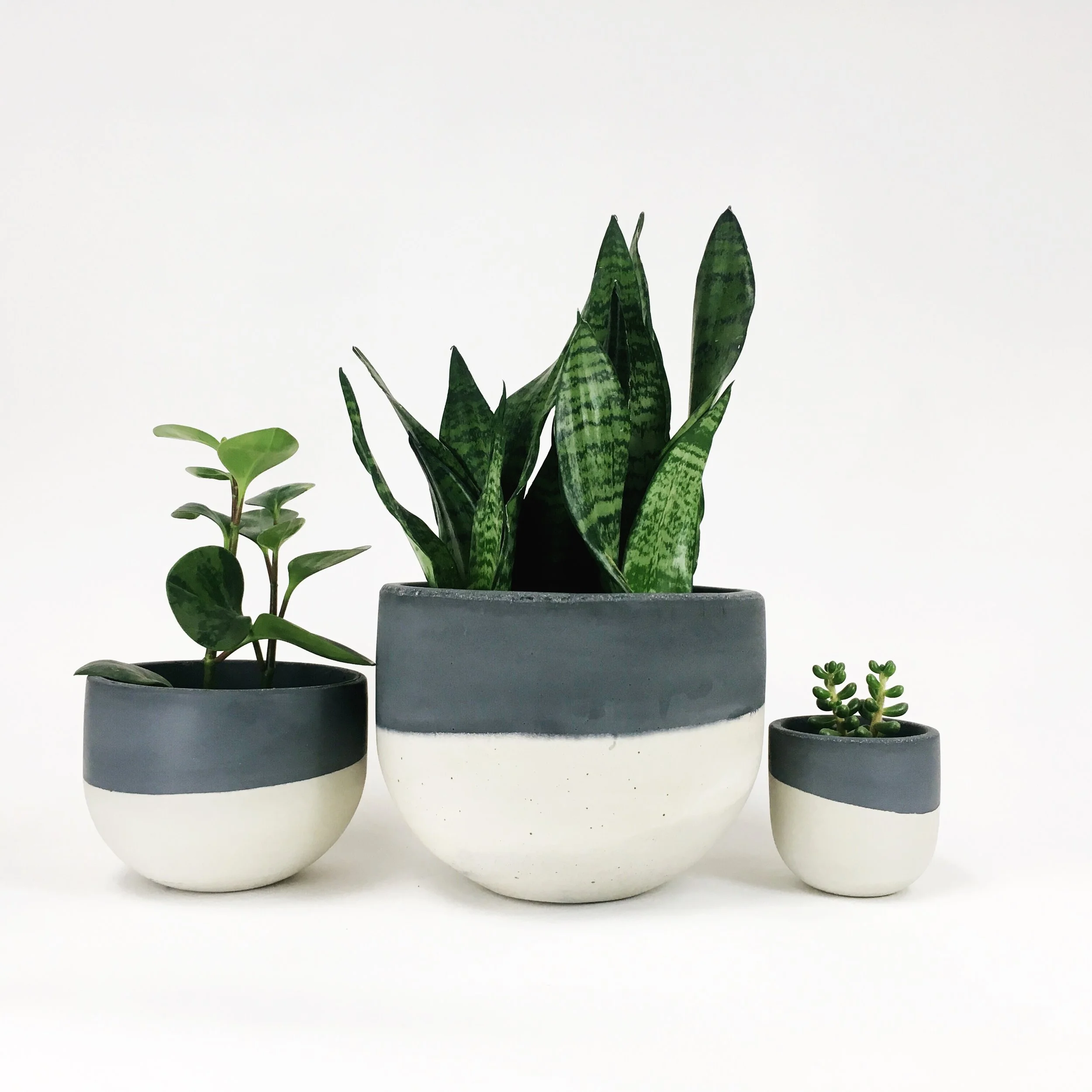 SETTLEWELL 9" Concrete Bowl Planter / Dark Gray Two Tone