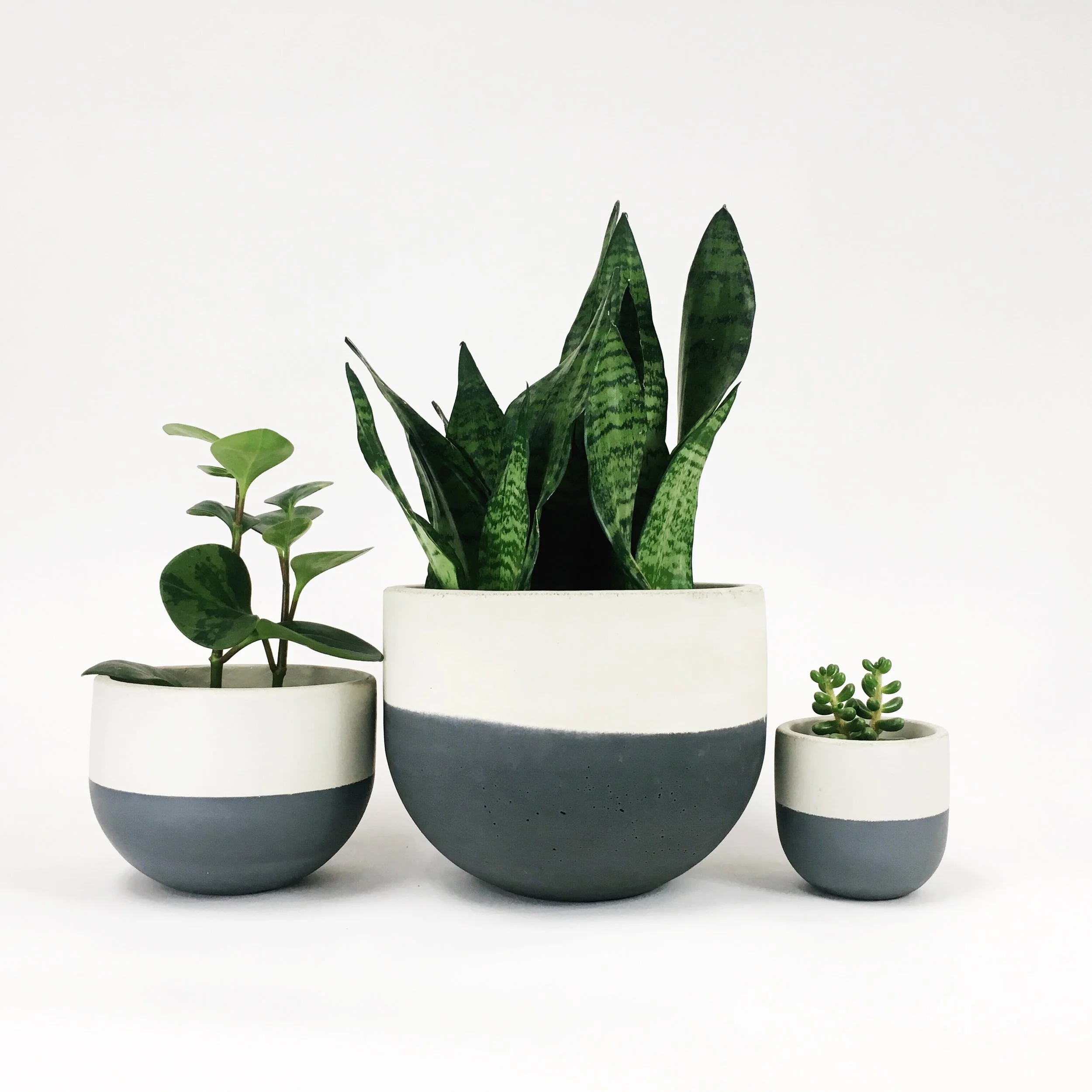 SETTLEWELL 9" Concrete Bowl Planter / Dark Gray Flip