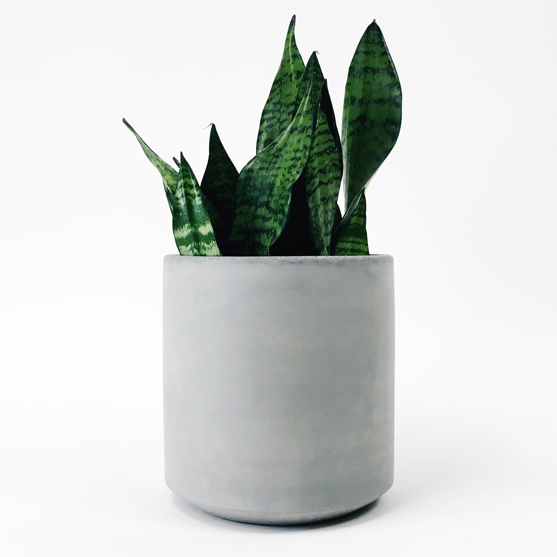 SETTLEWELL 9" Straight Sided Concrete Pot / Light Gray