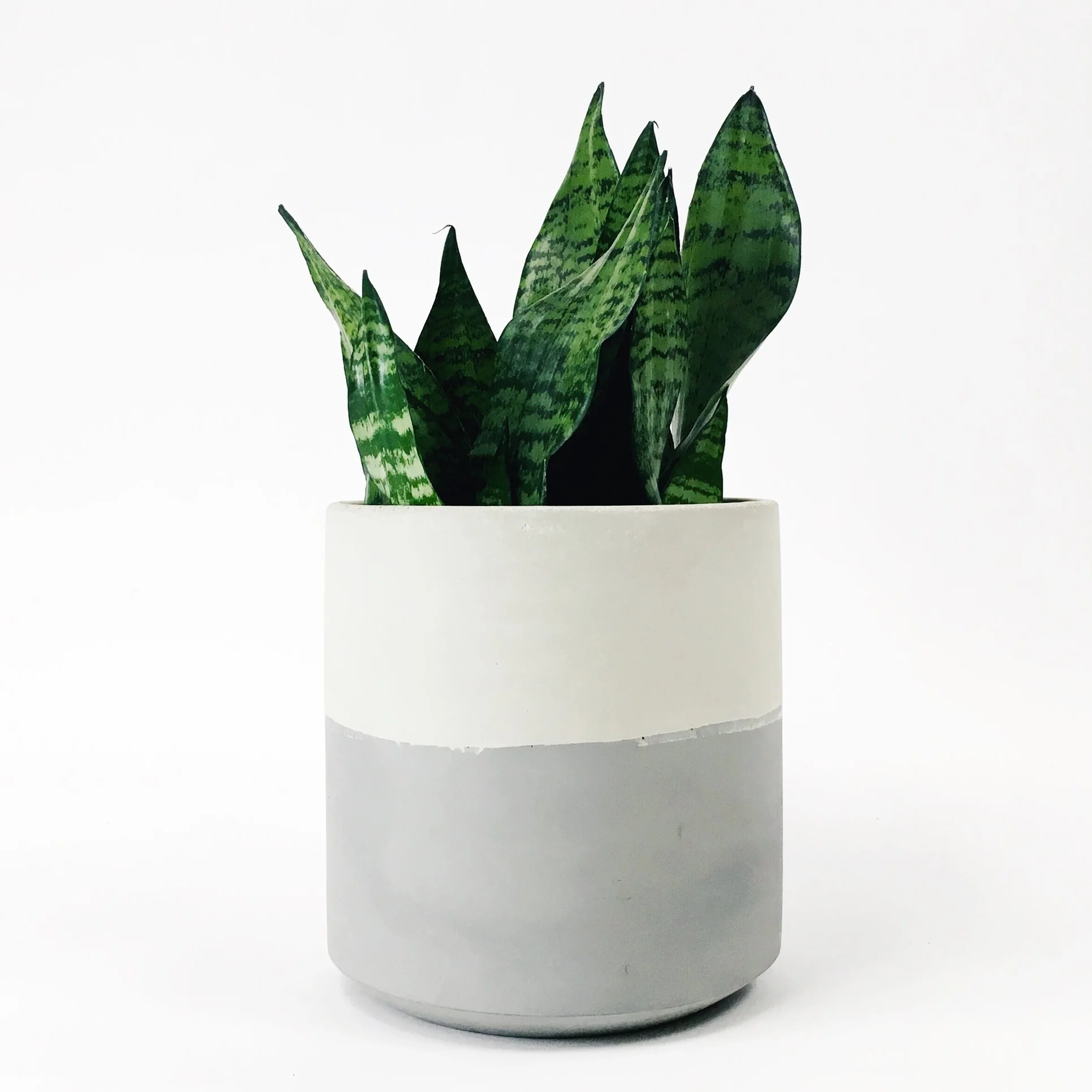 SETTLEWELL 9" Straight Sided Concrete Pot / Light Gray Flip