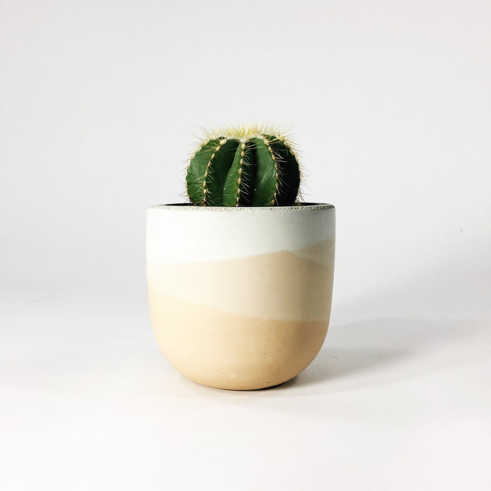 fertilizer lucky bamboo KL Design & Import