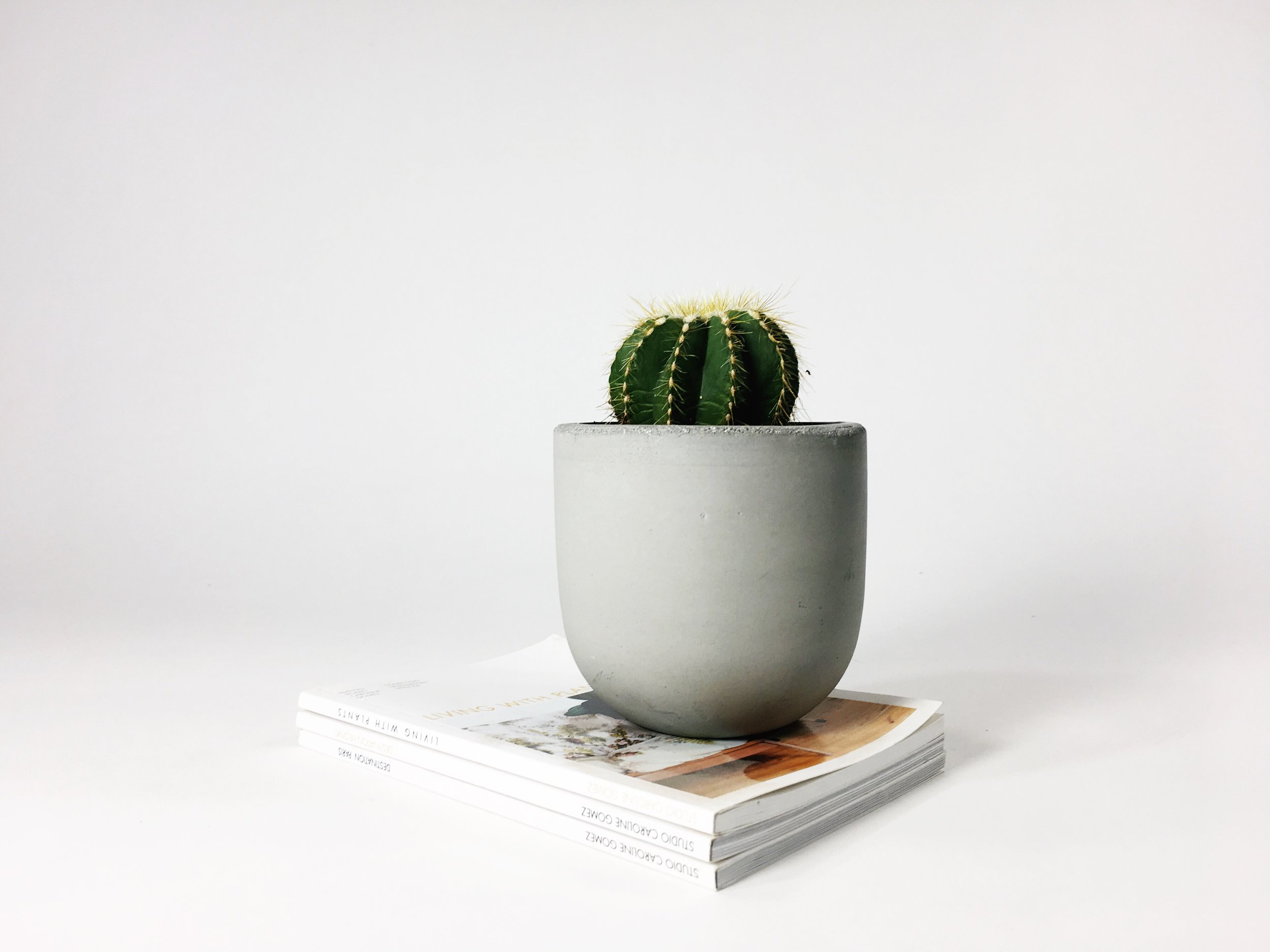 SETTLEWELL 4" Concrete Bowl Planter / Light Gray