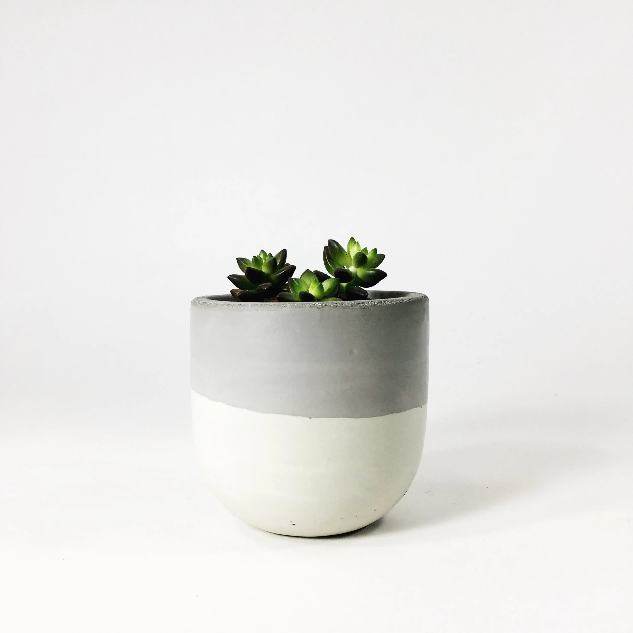 SETTLEWELL 4" Concrete Bowl Planter / Light Gray Two Tone