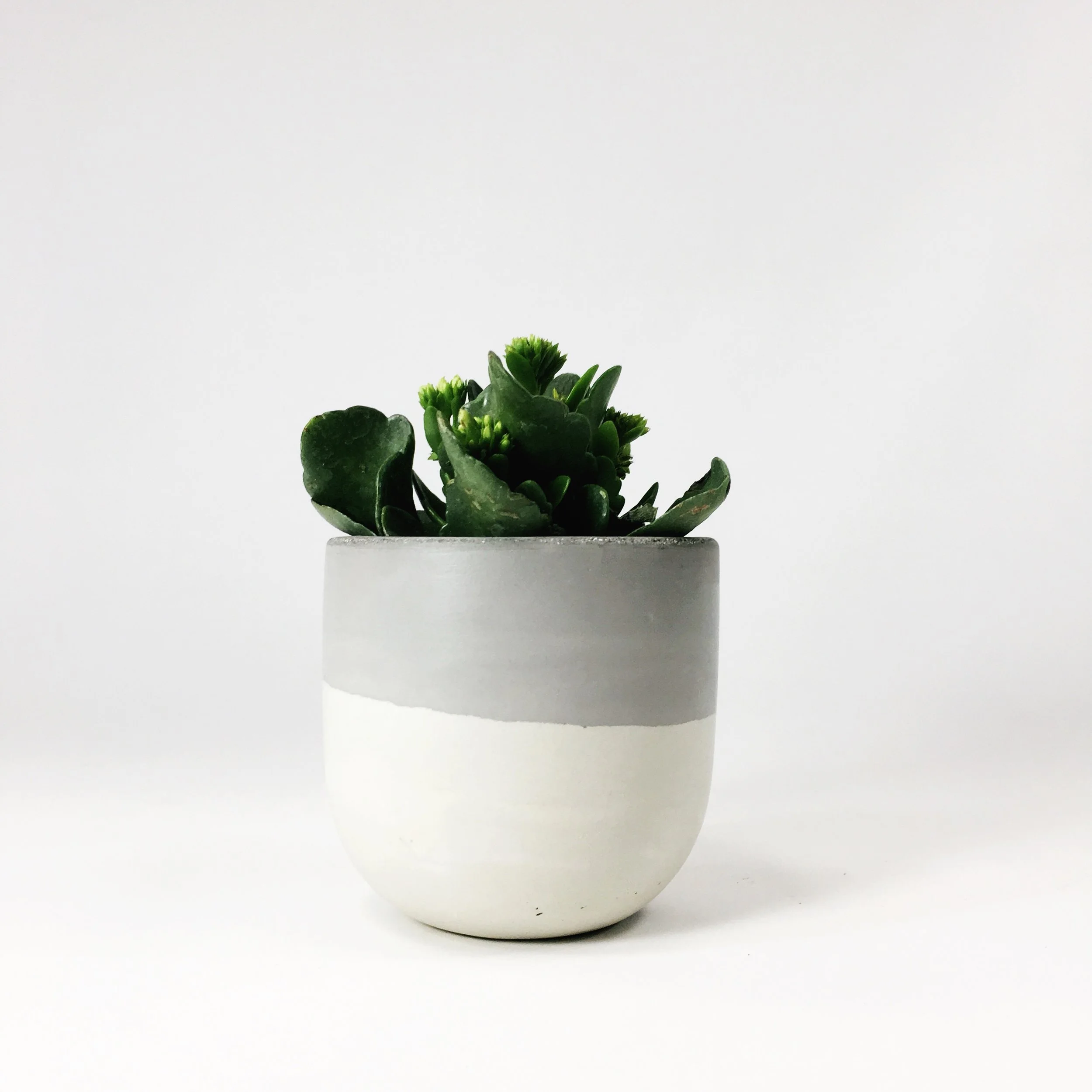 SETTLEWELL 4" Concrete Bowl Planter / Light Gray Two Tone