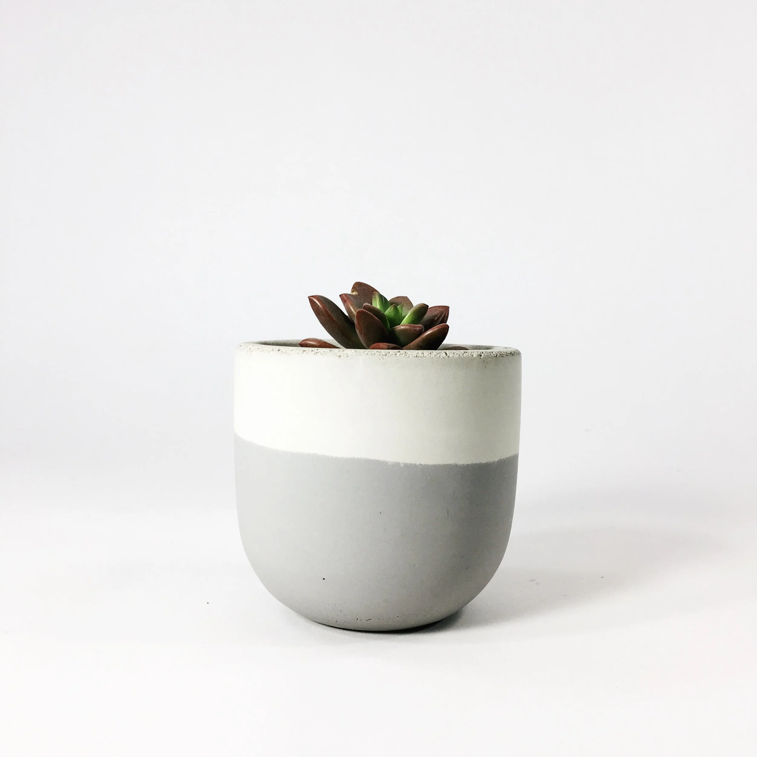 SETTLEWELL 4" Concrete Bowl Planter / Light Gray Flip