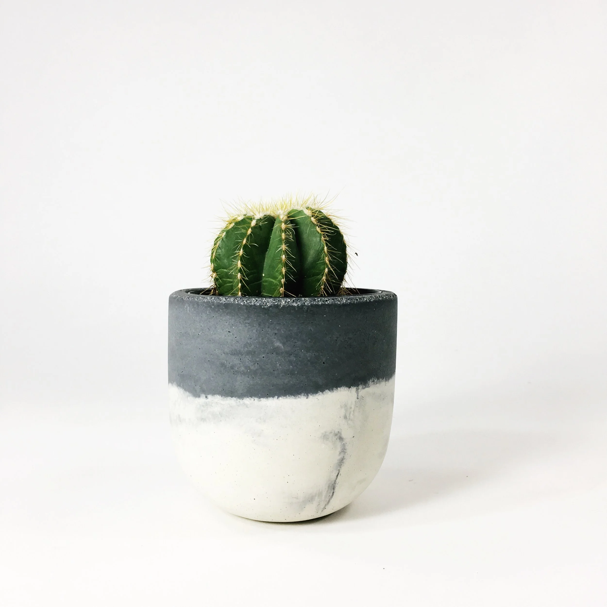 SETTLEWELL 4" Concrete Bowl Planter / Dark Gray Two Tone