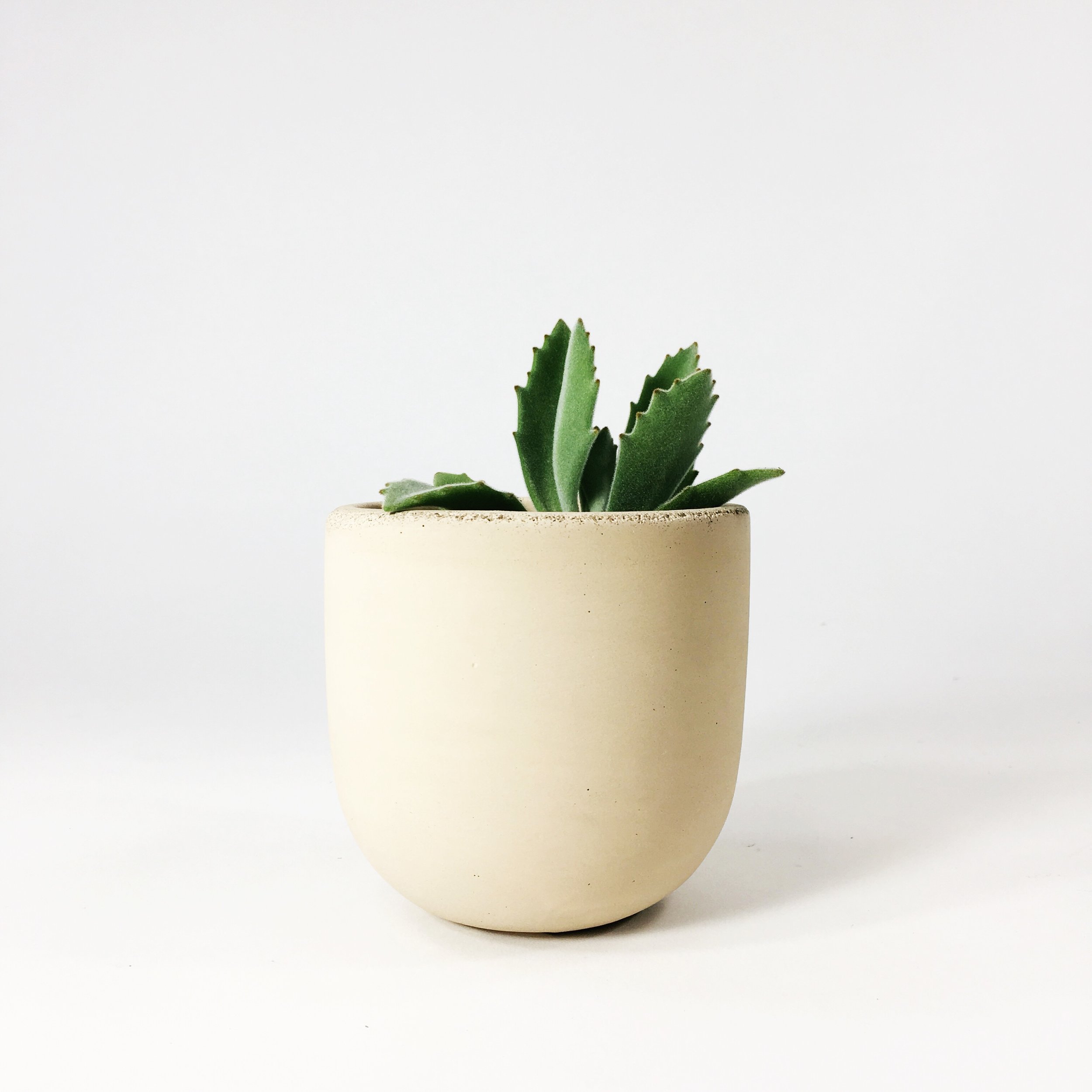 SETTLEWELL 4" Concrete Bowl Planter / Blush