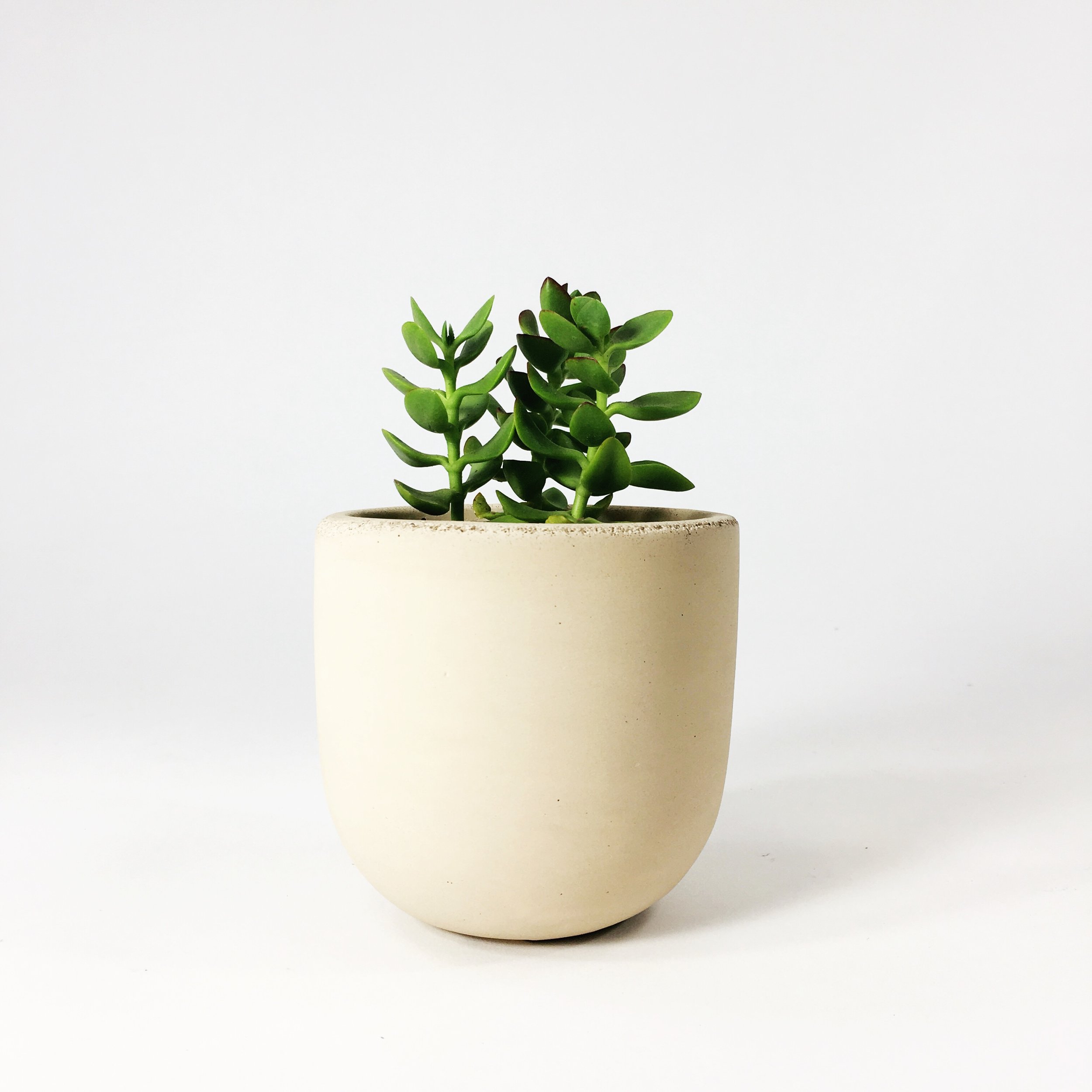 SETTLEWELL 4" Concrete Bowl Planter / Blush