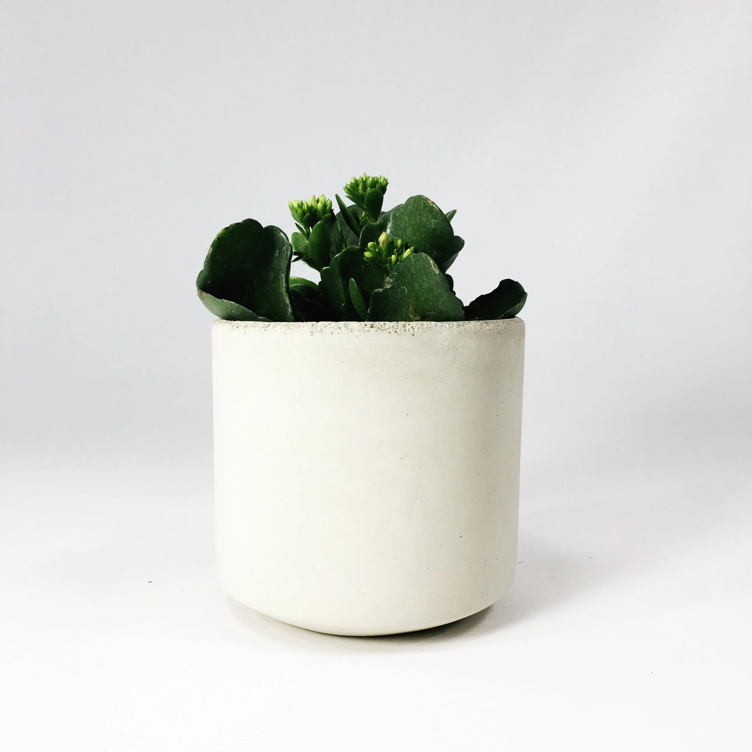 SETTLEWELL 4" Straight Sided Concrete Pot / White
