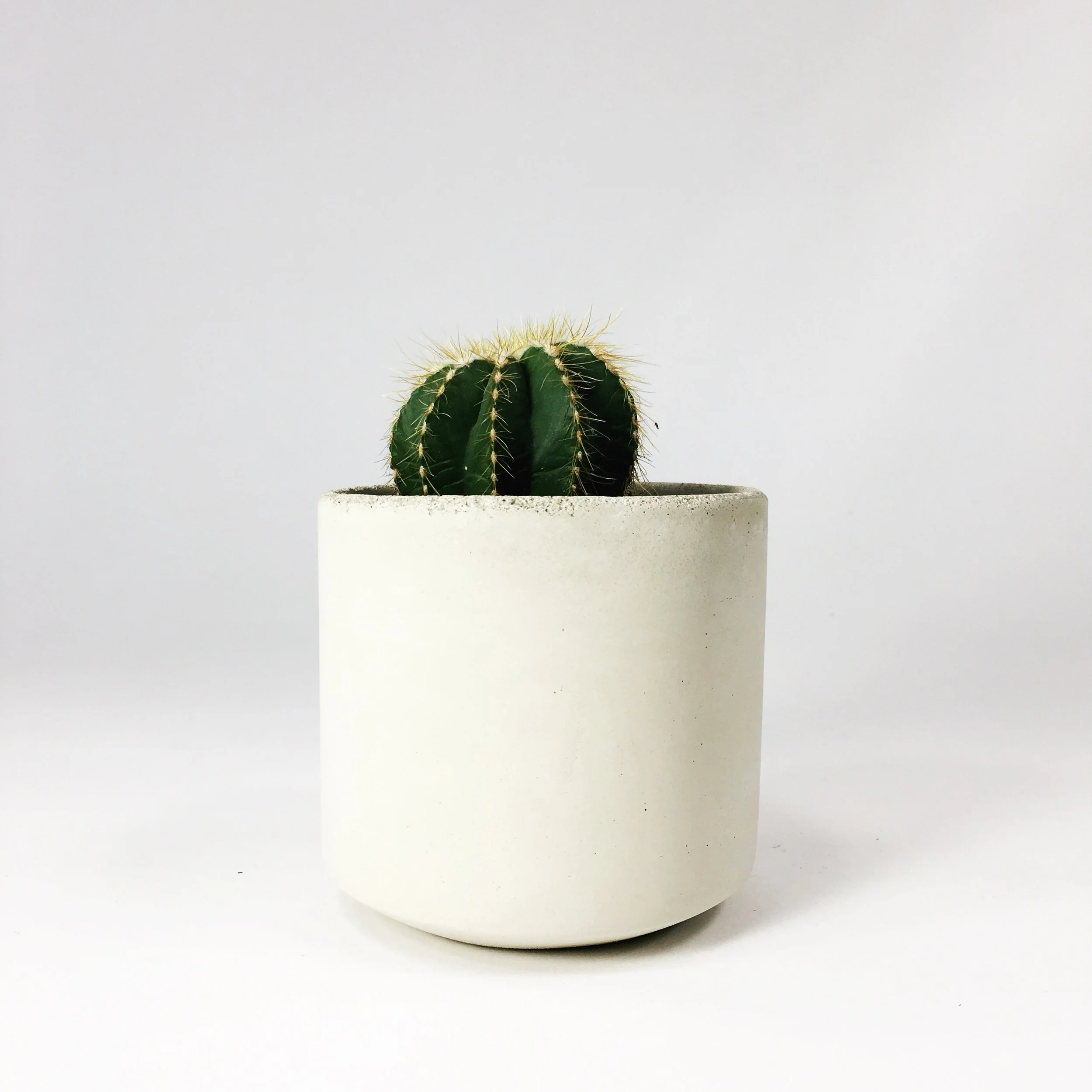SETTLEWELL 4" Straight Sided Concrete Pot / White