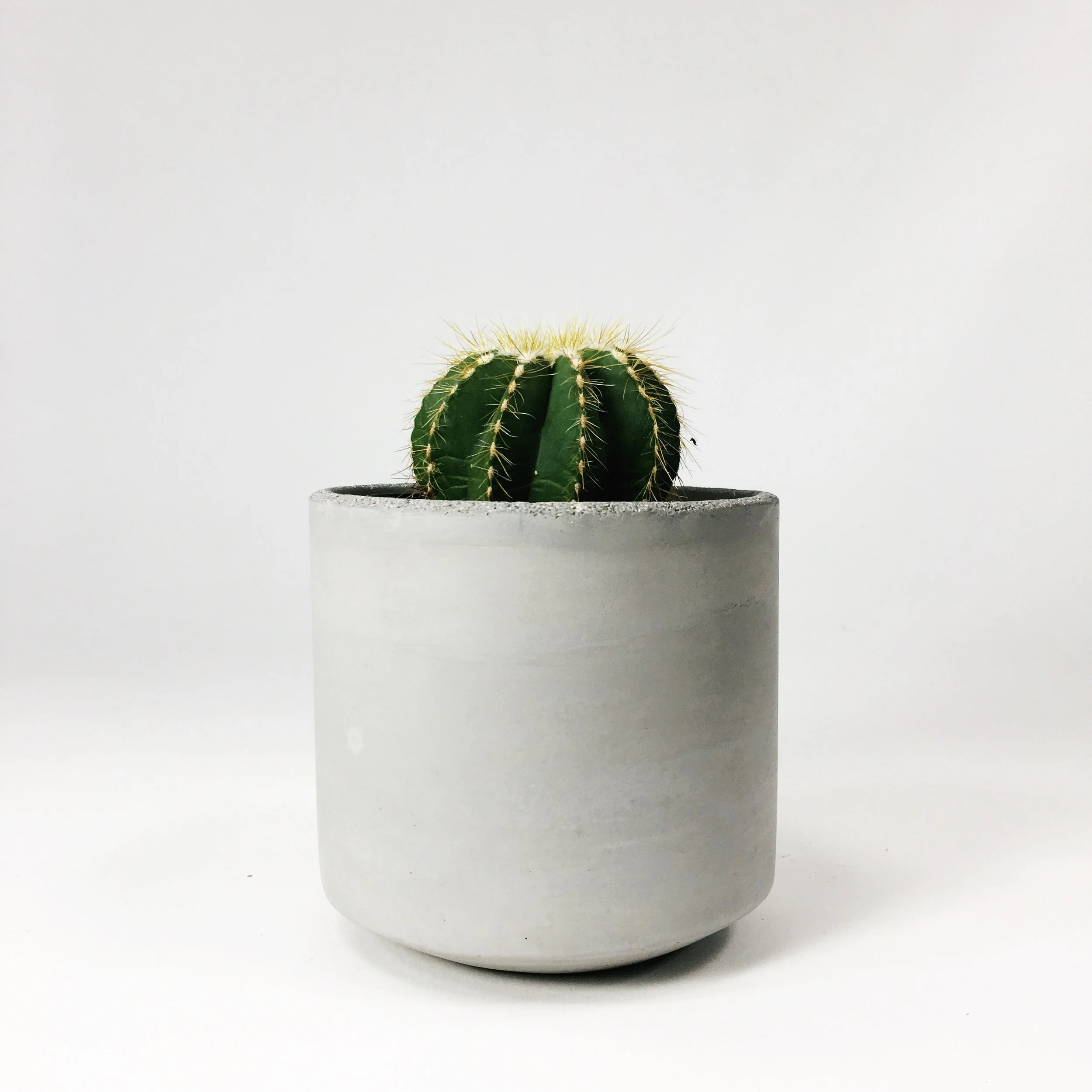SETTLEWELL 4" Straight Sided Concrete Pot / Light Gray