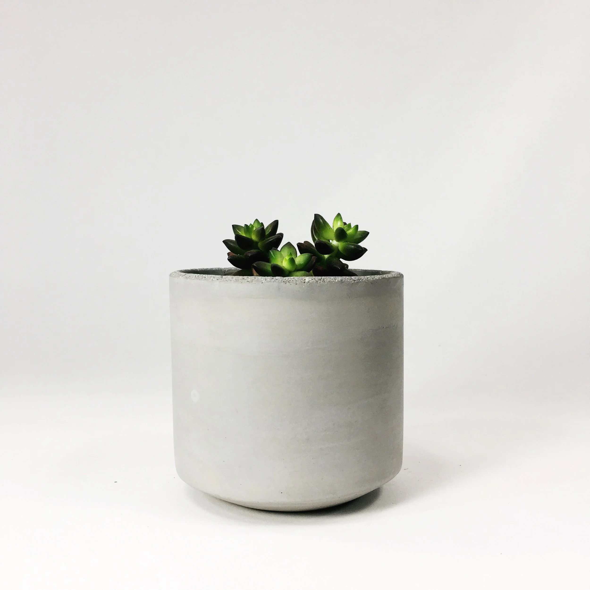 SETTLEWELL 4" Straight Sided Concrete Pot / Light Gray