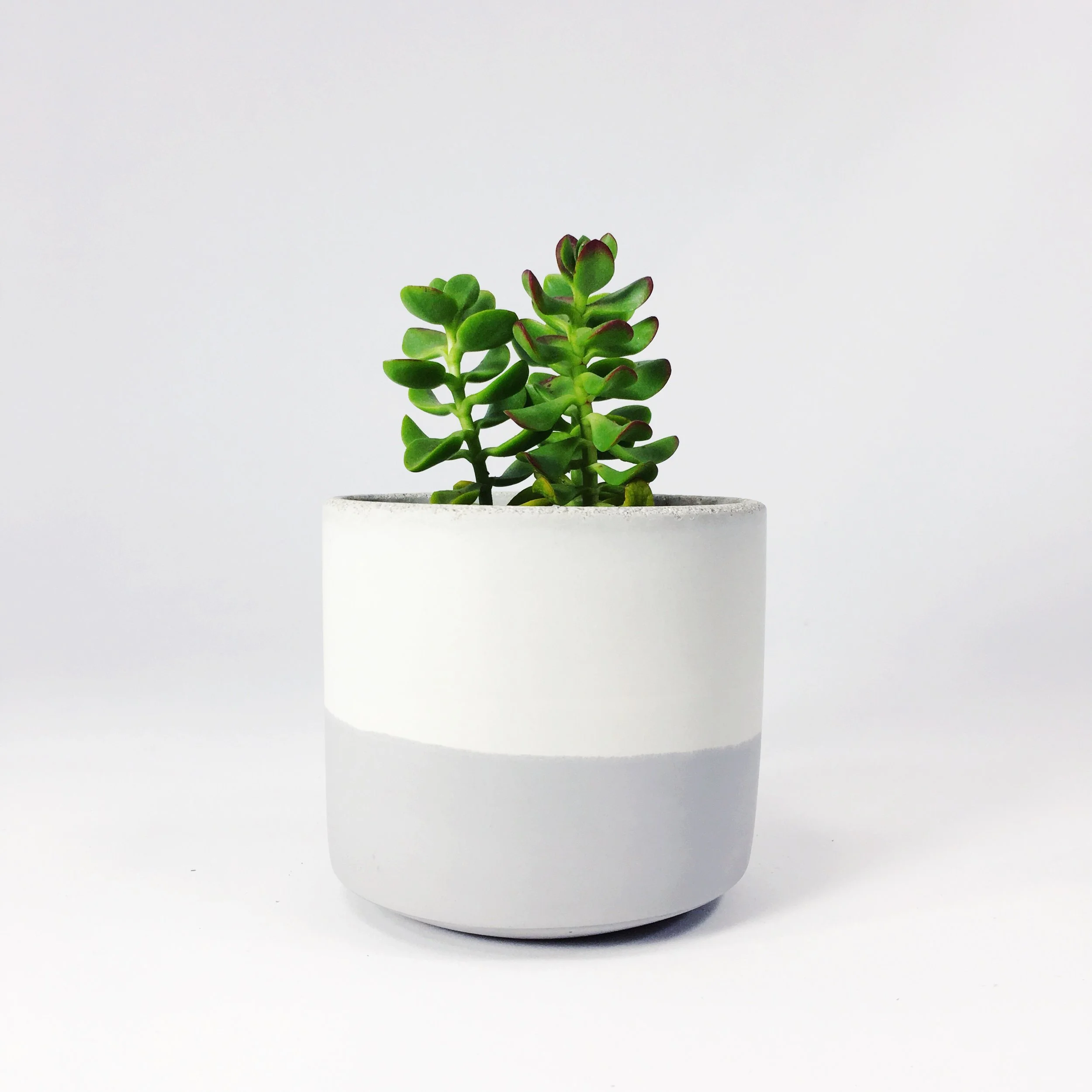 SETTLEWELL 4" Straight Sided Concrete Pot / Light Gray Flip