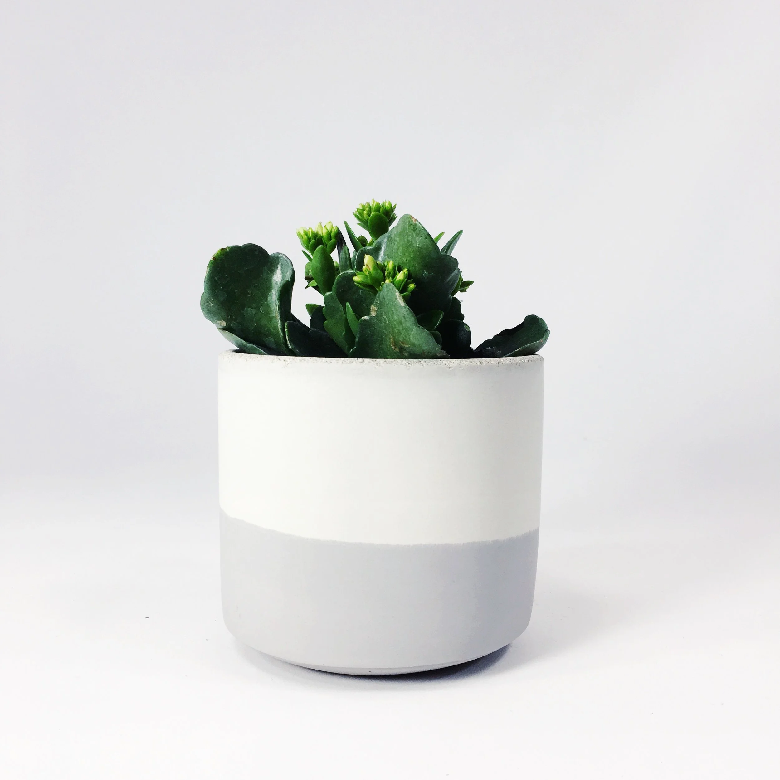 SETTLEWELL 4" Straight Sided Concrete Pot / Light Gray Flip