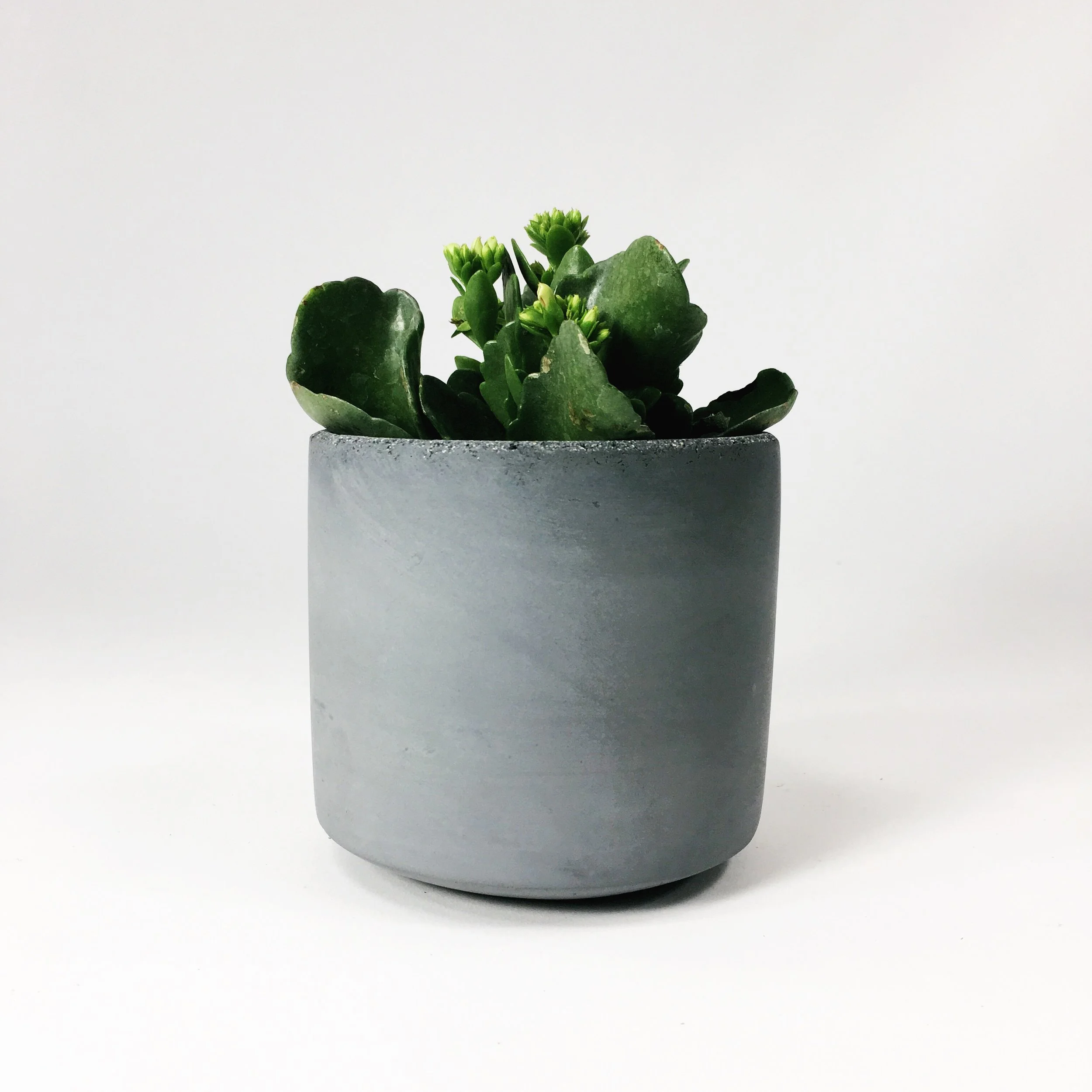 SETTLEWELL 4" Straight Sided Concrete Pot / Dark Gray
