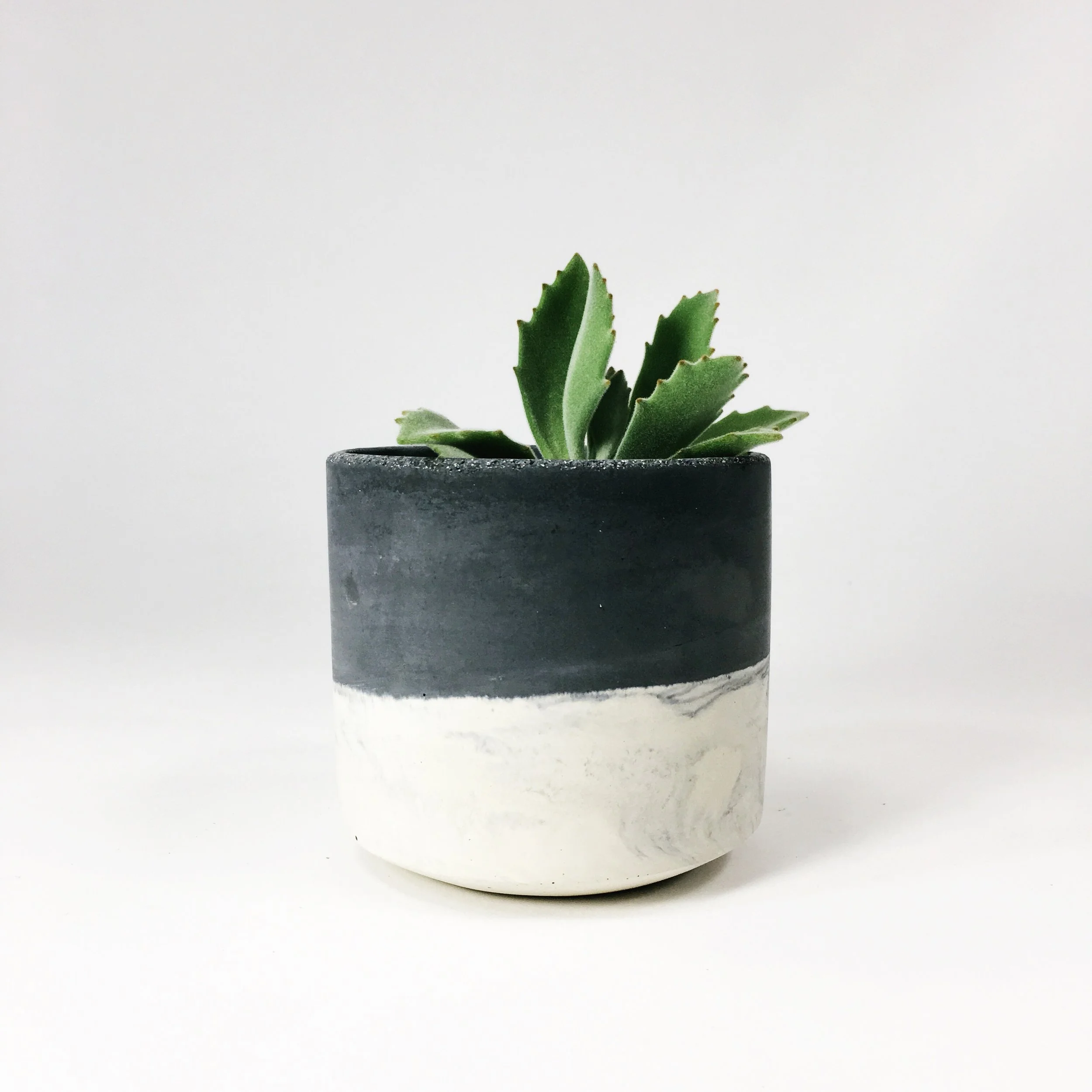 SETTLEWELL 4" Straight Sided Concrete Pot / Dark Gray Two Tone
