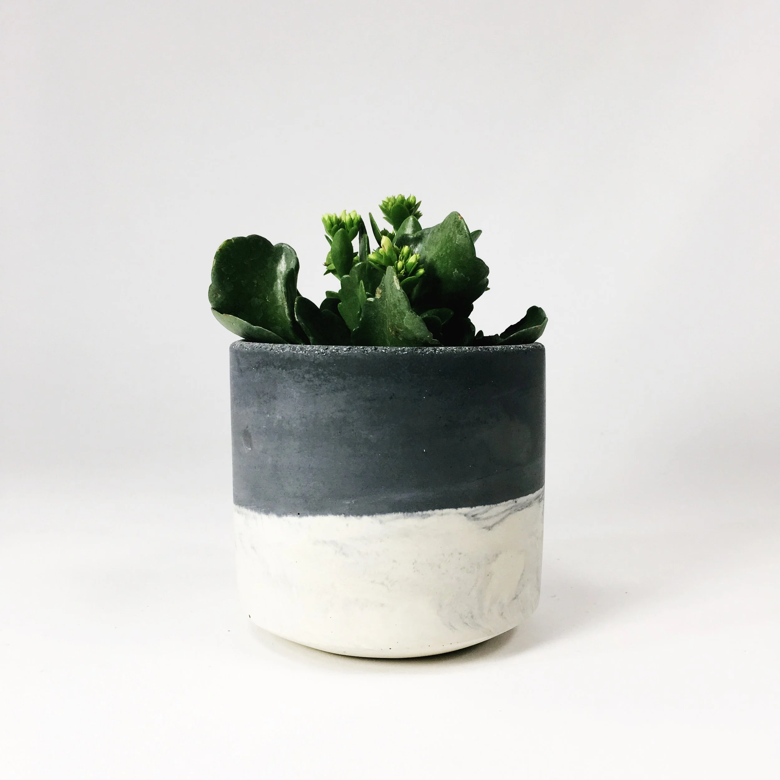 SETTLEWELL 4" Straight Sided Concrete Pot / Dark Gray Two Tone