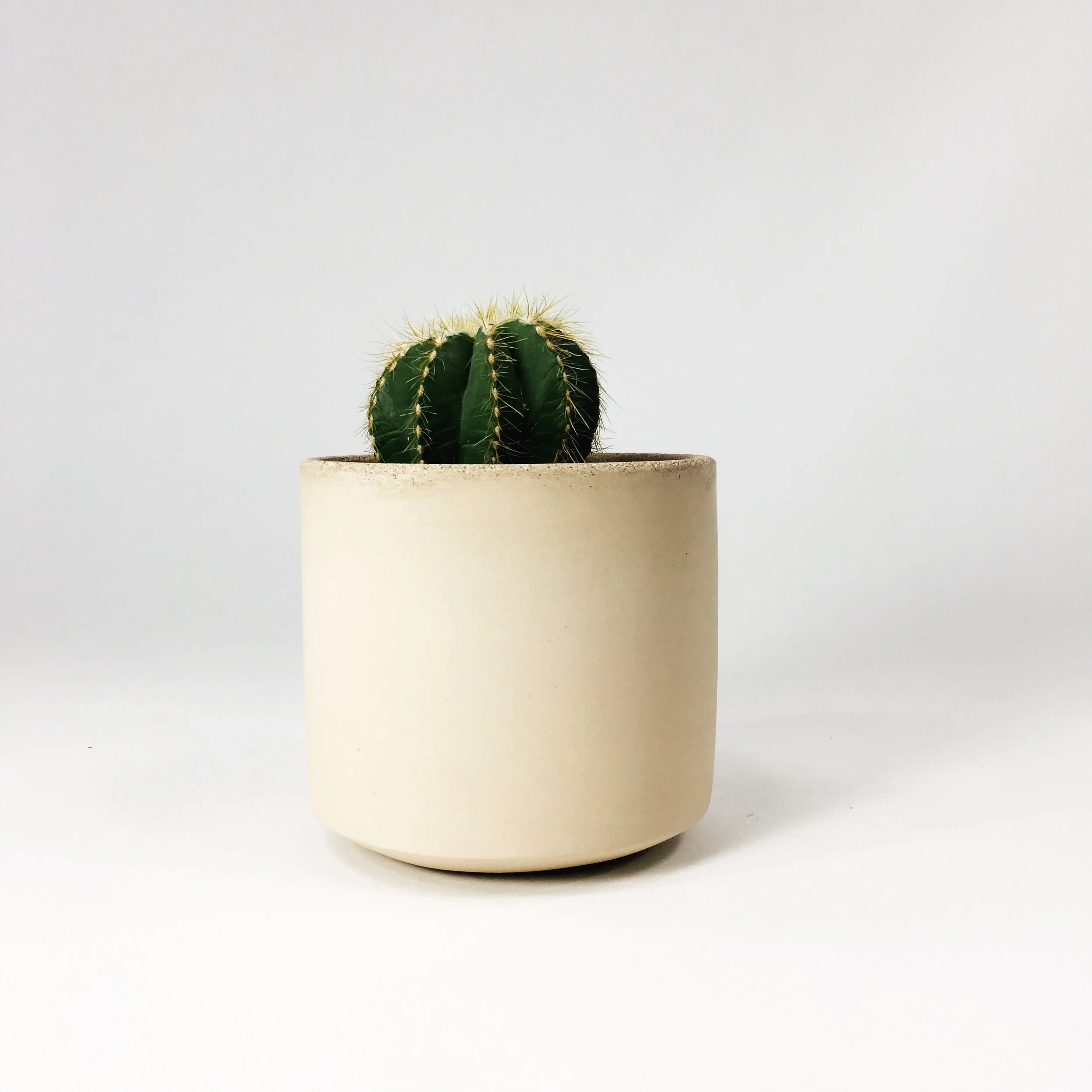 SETTLEWELL 4" Straight Sided Concrete Pot / Blush