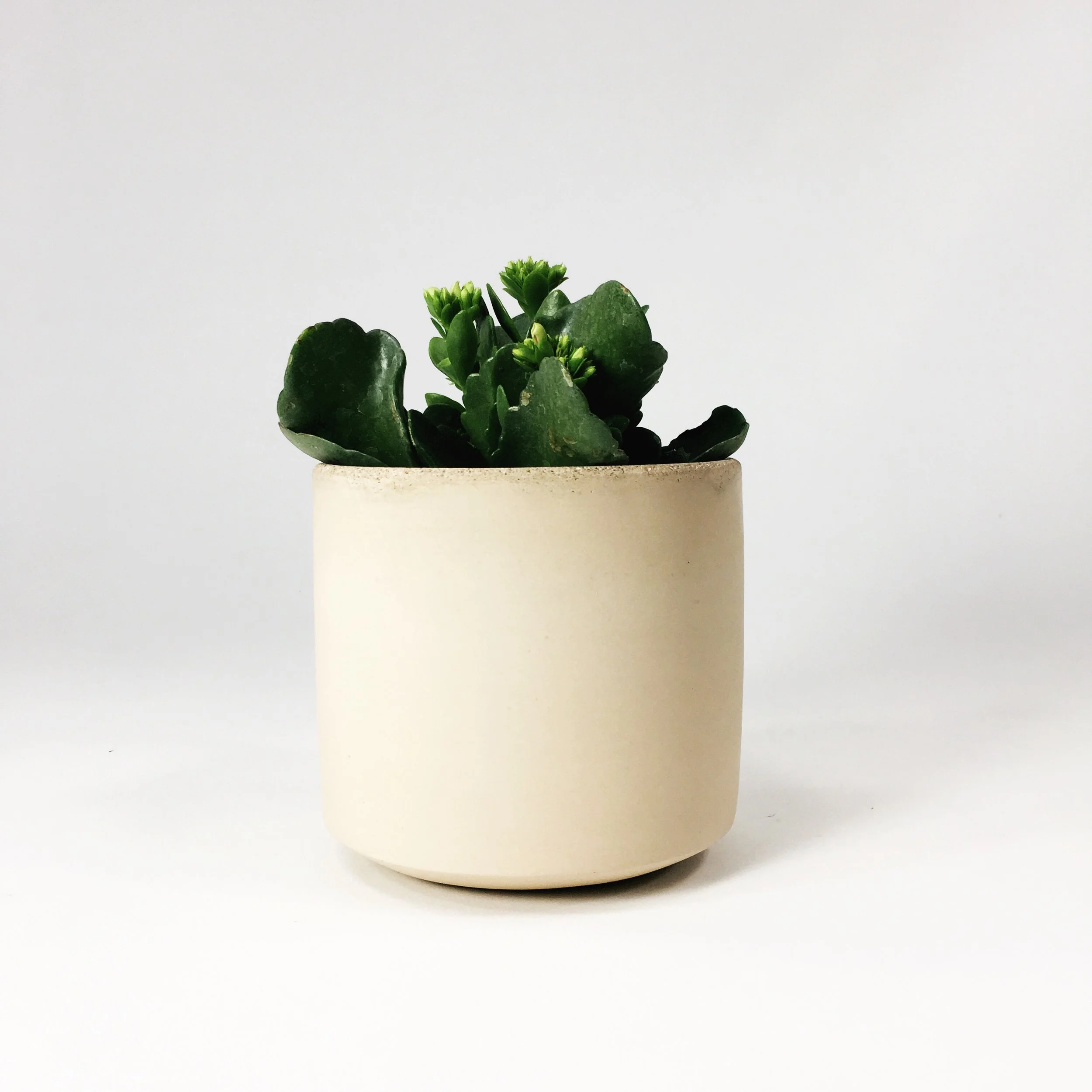 SETTLEWELL 4" Straight Sided Concrete Pot / Blush