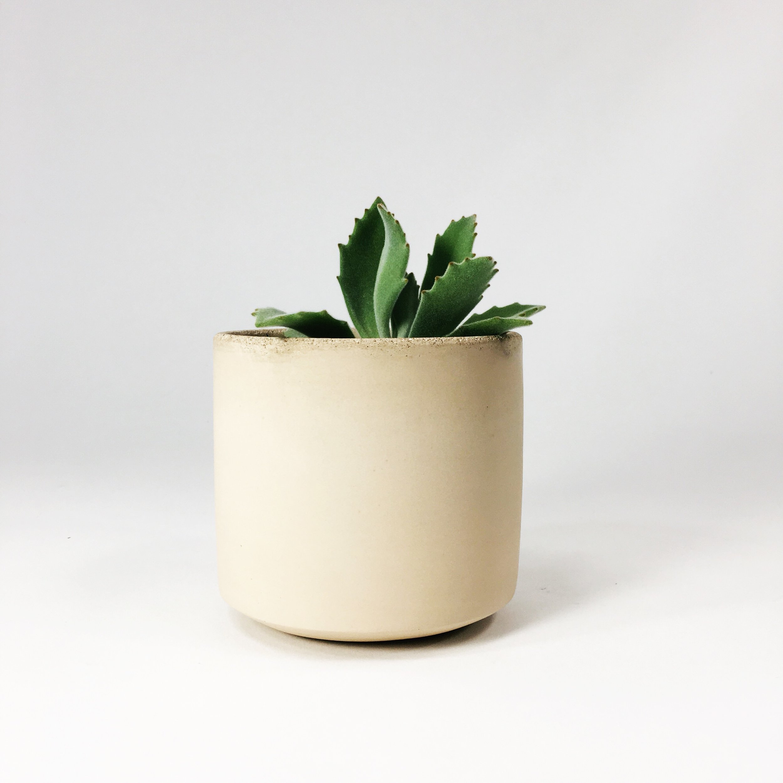 SETTLEWELL 4" Straight Sided Concrete Pot / Blush