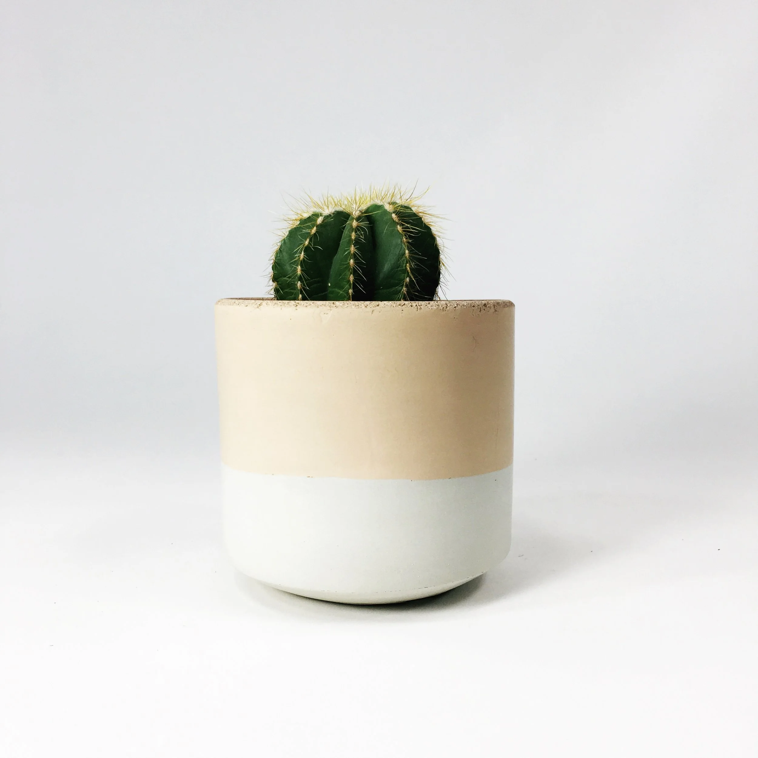 SETTLEWELL 4" Straight Sided Concrete Pot / Blush Two Tone