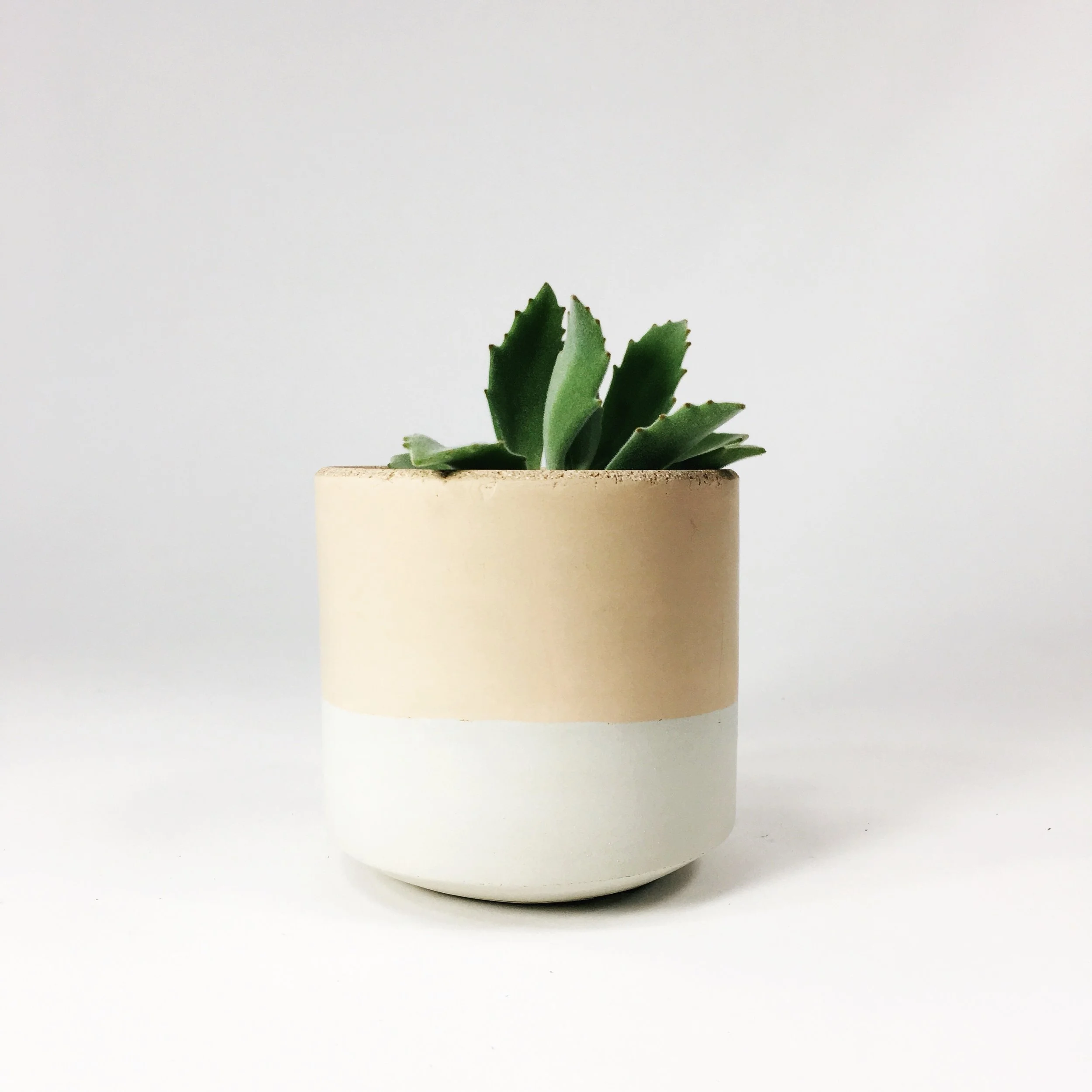SETTLEWELL 4" Straight Sided Concrete Pot / Blush Two Tone