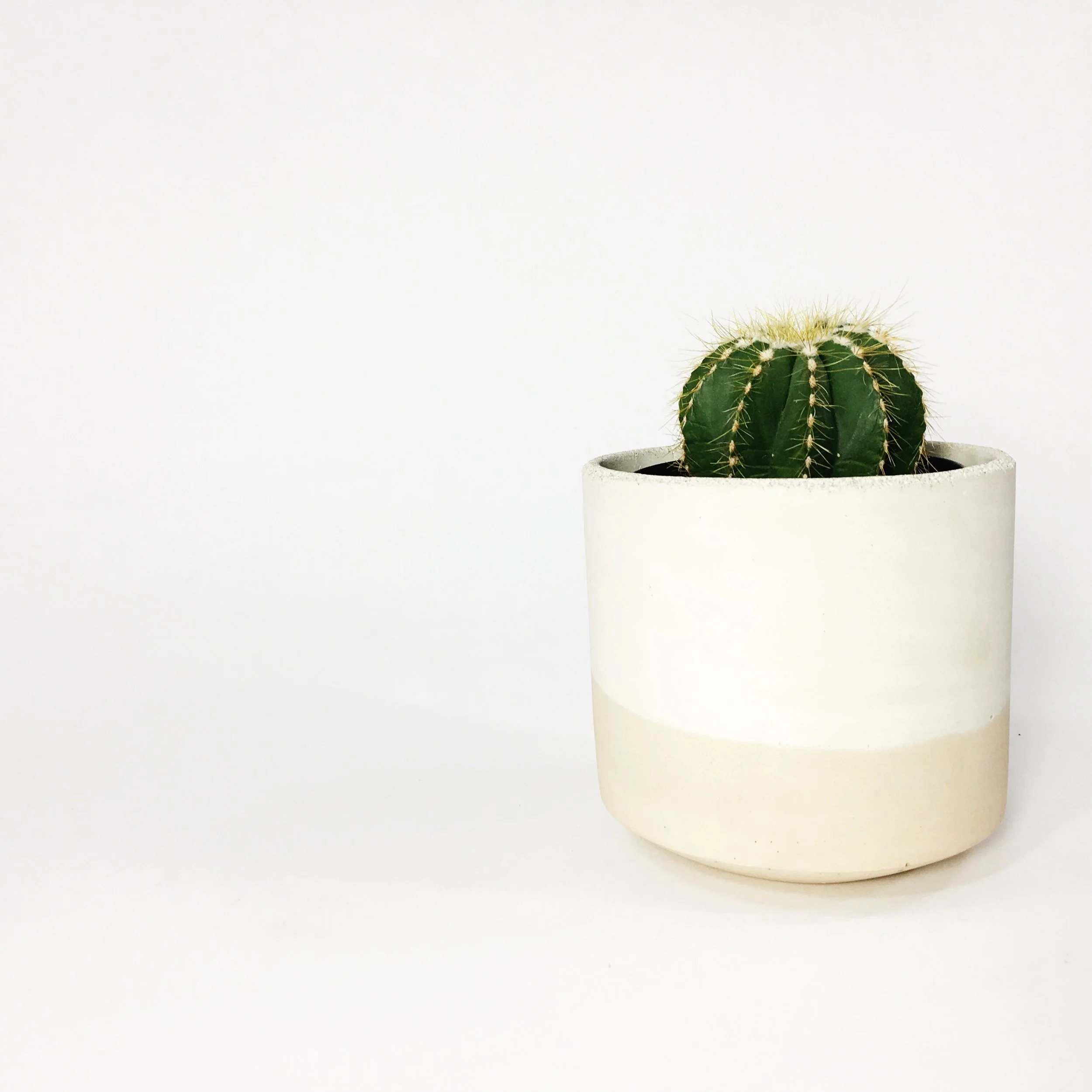 SETTLEWELL 4" Straight Sided Concrete Pot / Blush Flip