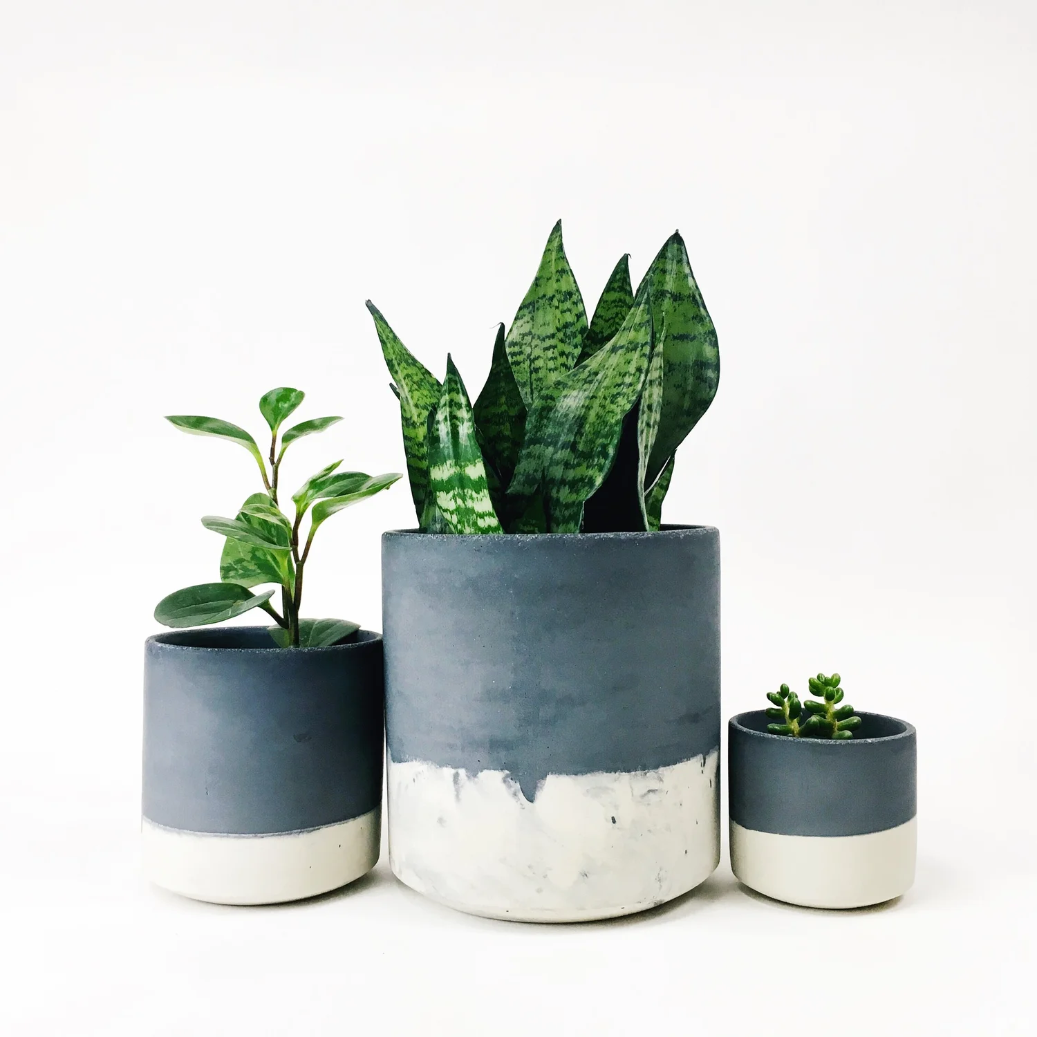 Straight Sided Pots / Dark Gray Two Tone  SETTLEWELL | Modern Planters and  Home Goods