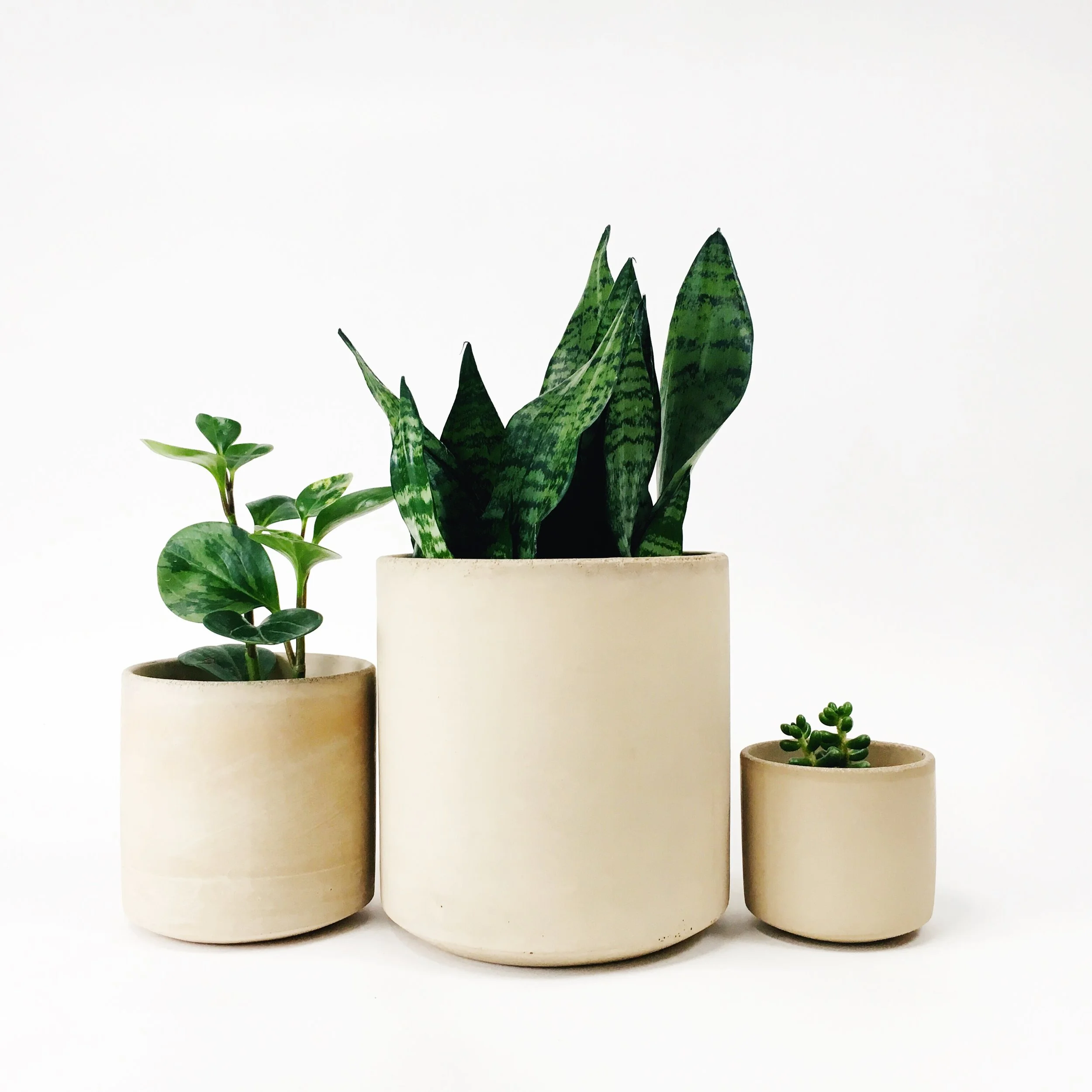 Straight Sided Pots / Blush