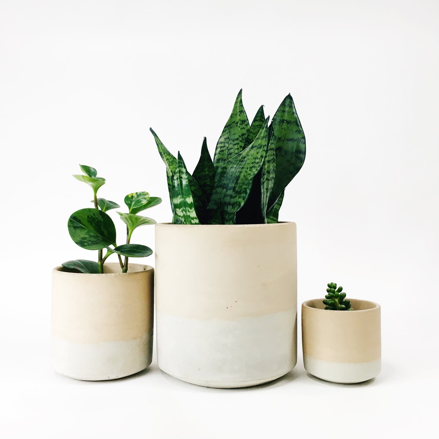 Straight Sided Pots / Blush Two Tone — SETTLEWELL