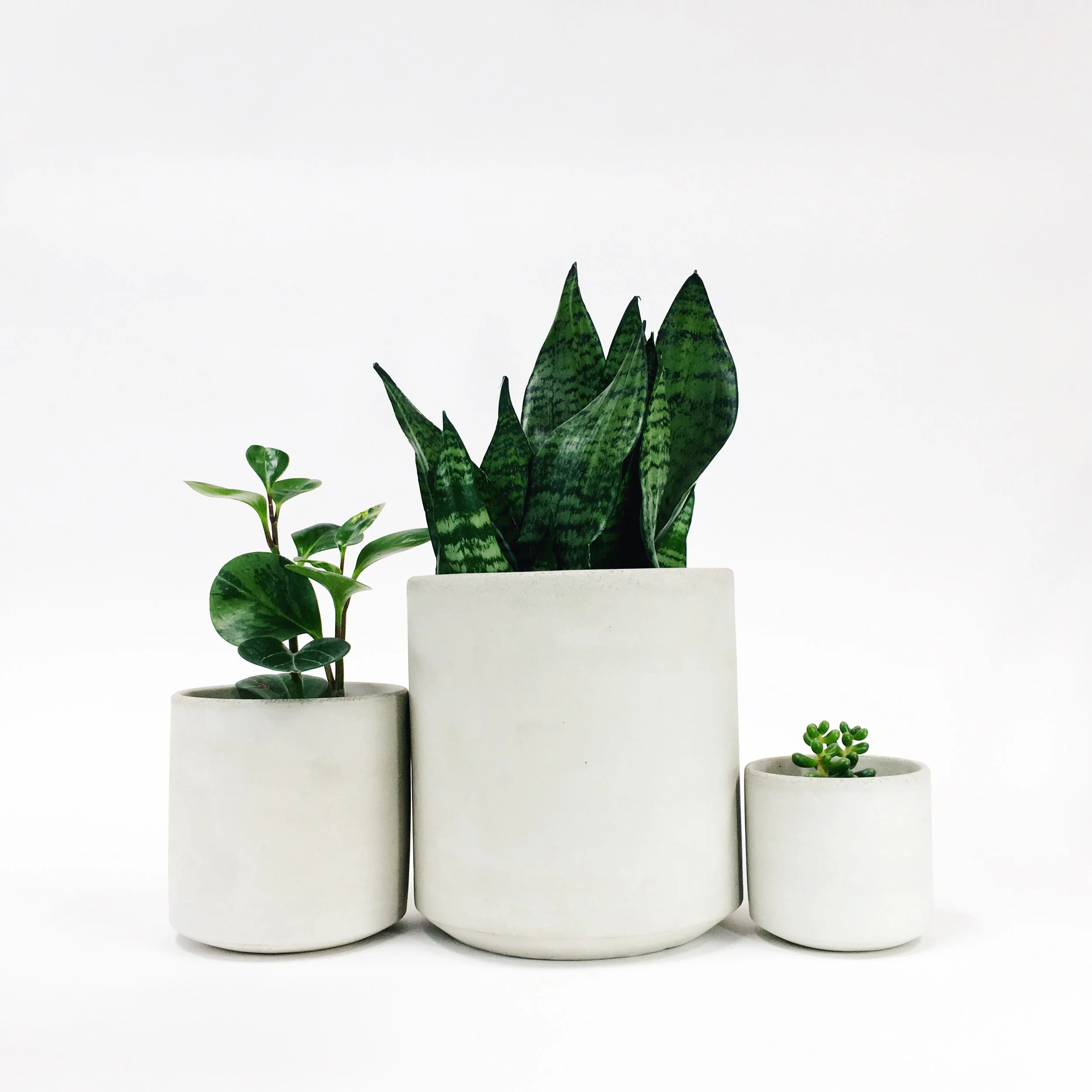 Straight Sided Pots / White