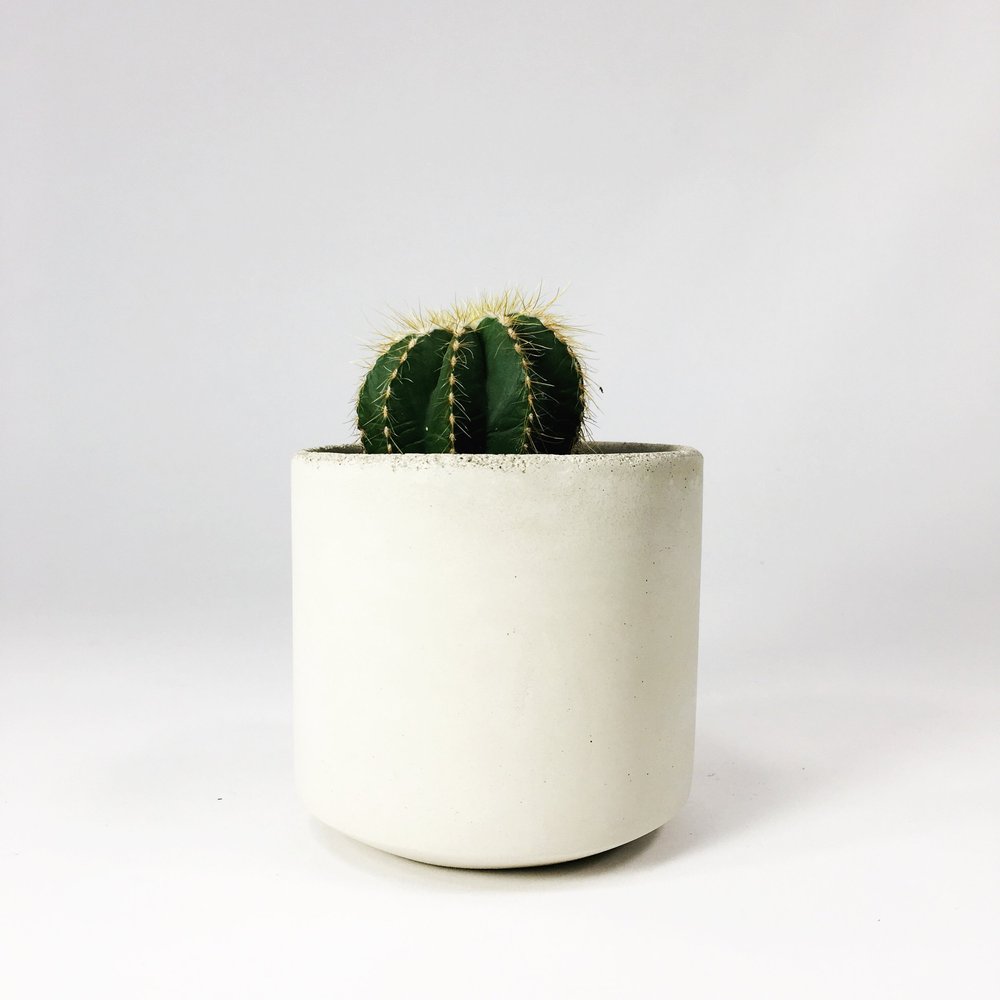 SRLSTRAIGHTTYPE PLANT POT-Lvaliemカタチ製作所 Straight Sided Pots / White — SETTLEWELL | Modern Planters and