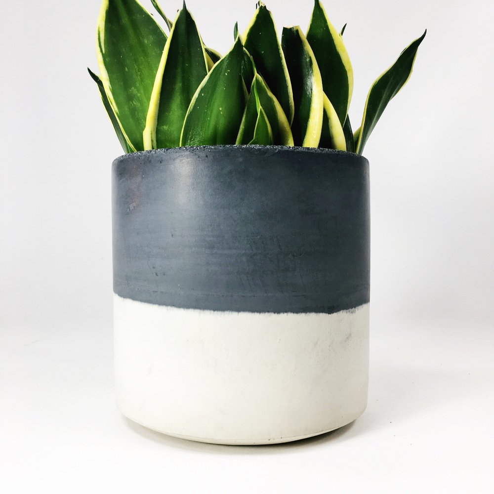 Straight Sided Pots / Dark Gray Two Tone — SETTLEWELL | Modern