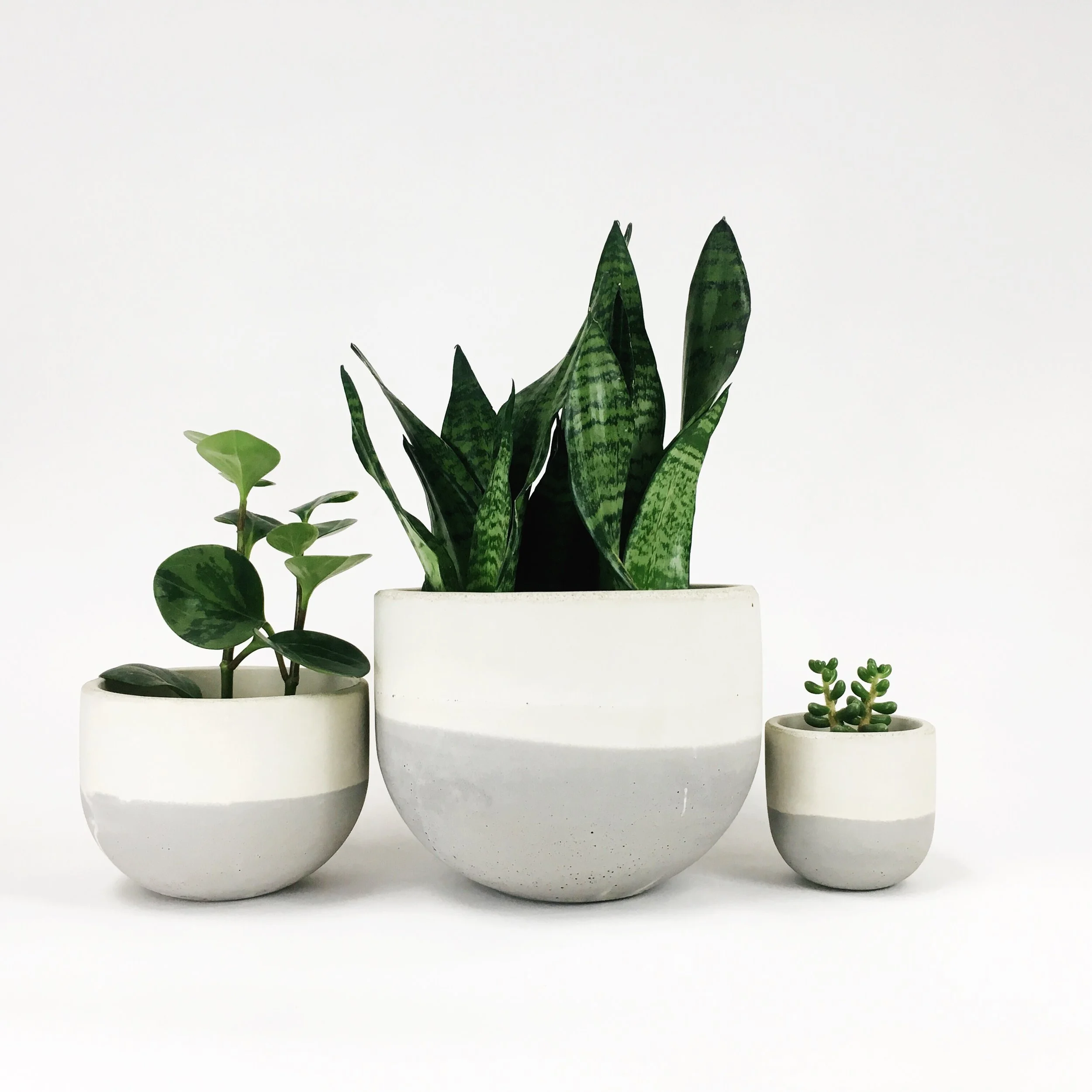 Bowl Planters / Light Gray Flip