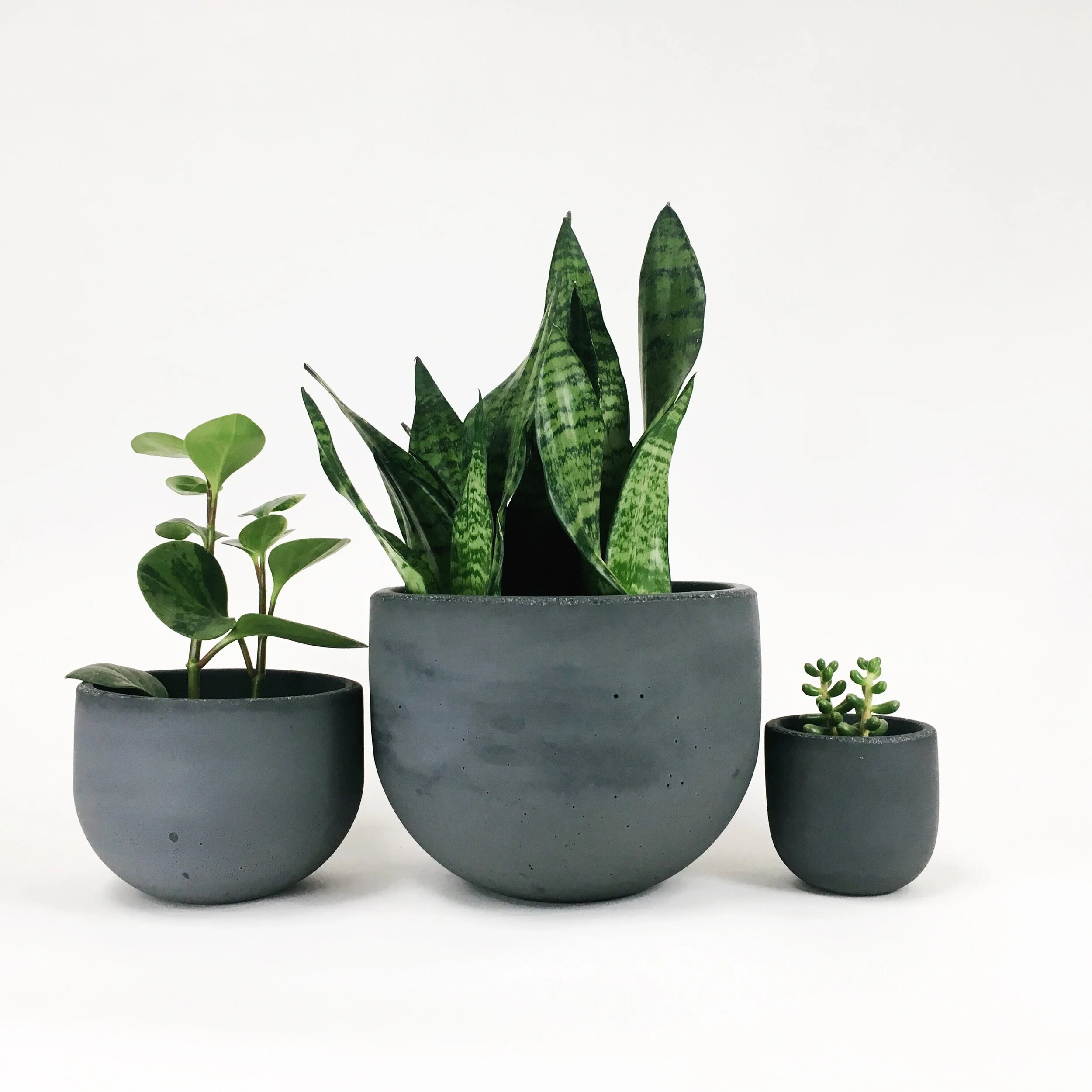 Bowl Planters / Dark Gray