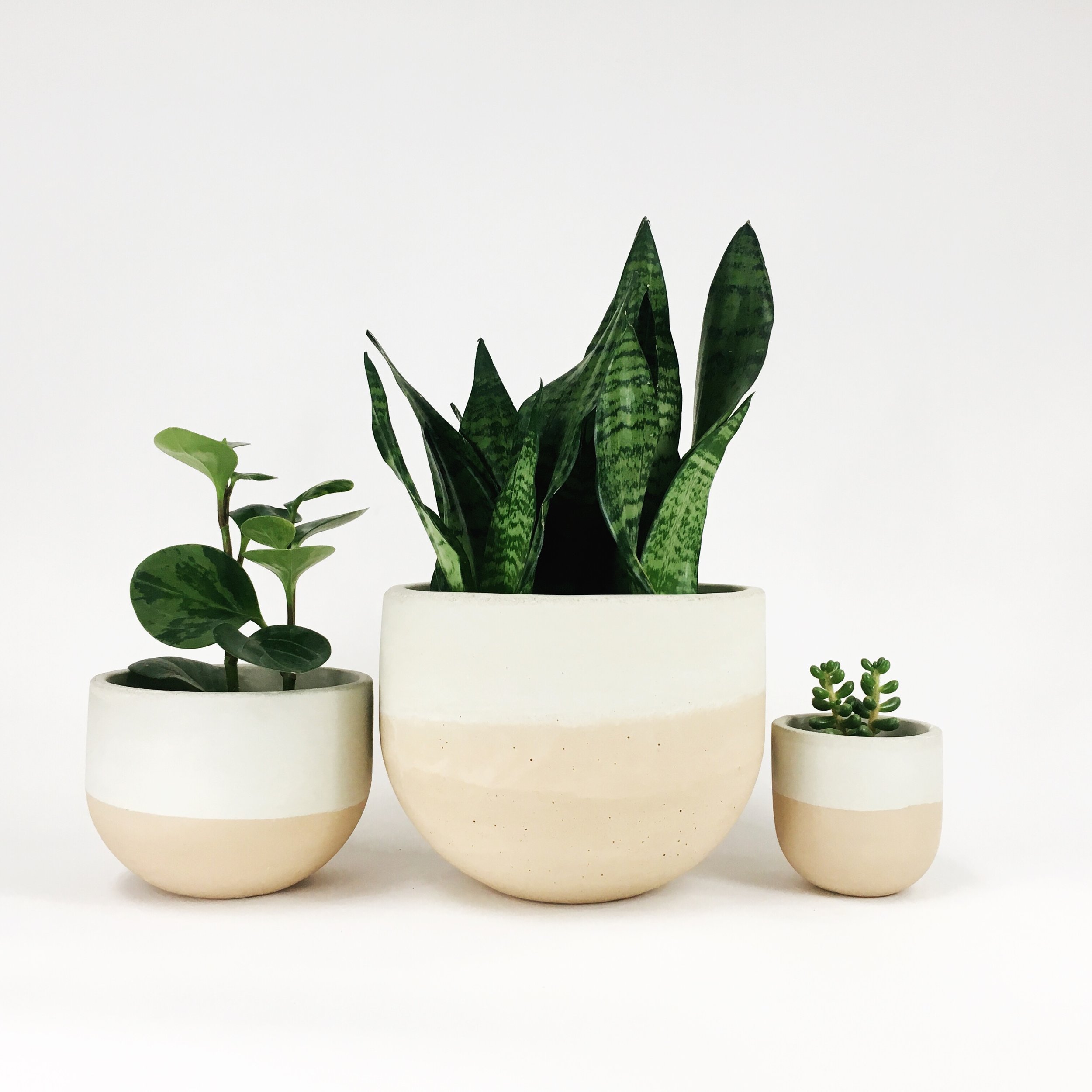Bowl Planters / Blush Flip