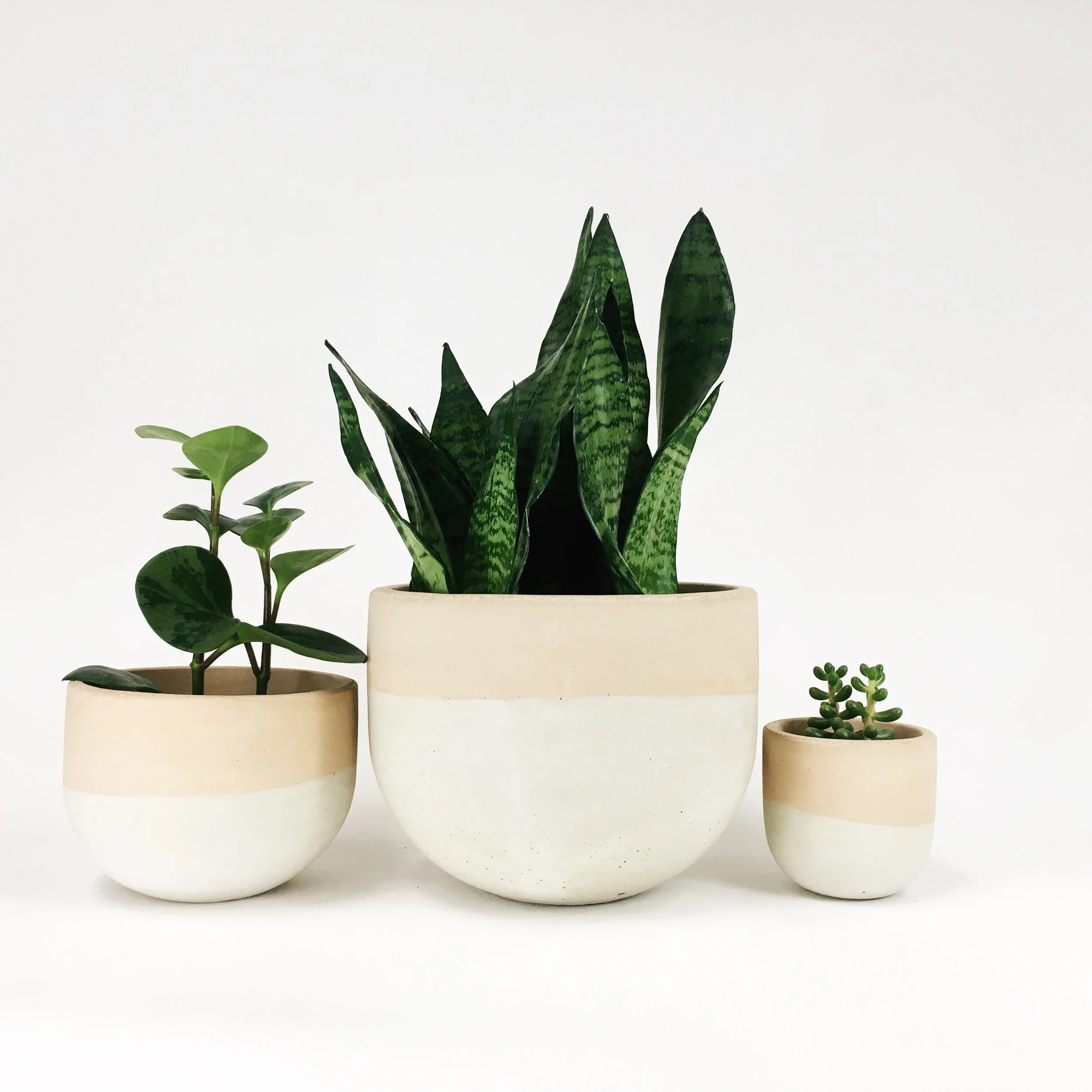 Bowl Planters / Blush Two Tone